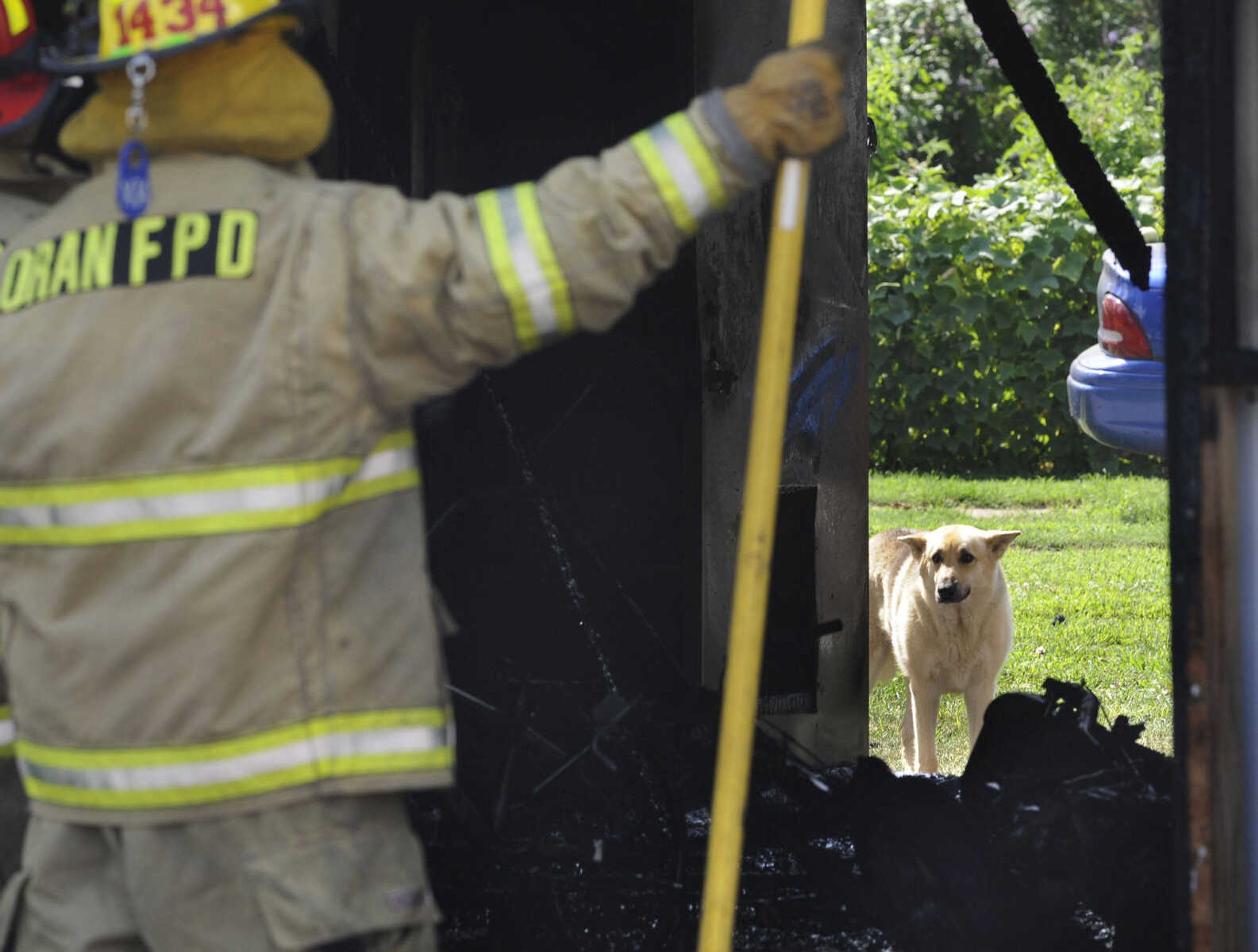 A dog looks inside the shed destroyed by fire Monday, July 28, 2014 in Chaffee, Missouri. (Fred Lynch)