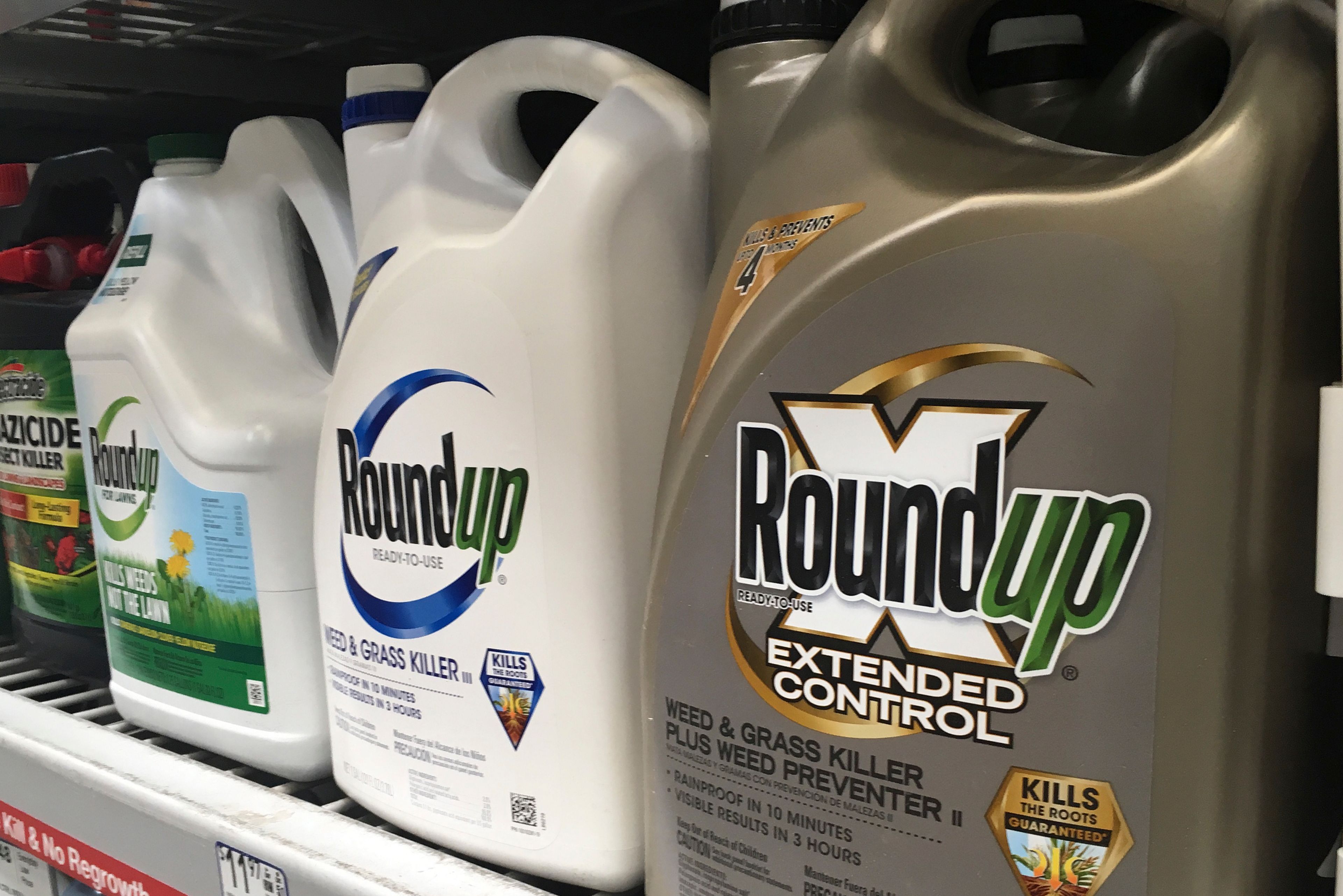 Georgia become second US state to shield maker of Roundup weed killer from some cancer claims