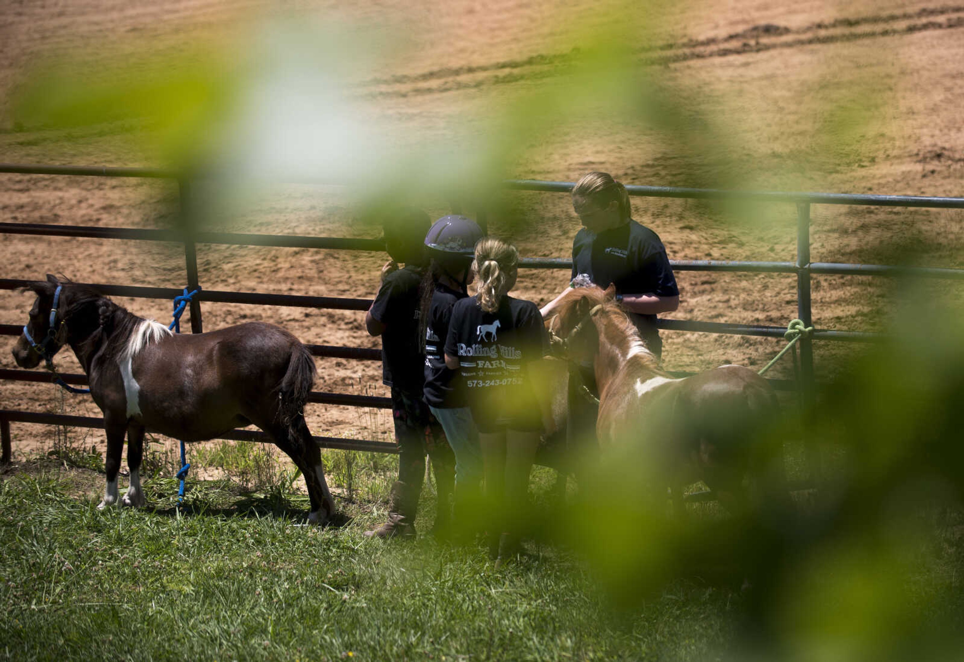 Campers braid and decorate miniature horses during the Rolling Hills Youth Day Camp Wednesday, June 7, 2017 in Cape Girardeau.