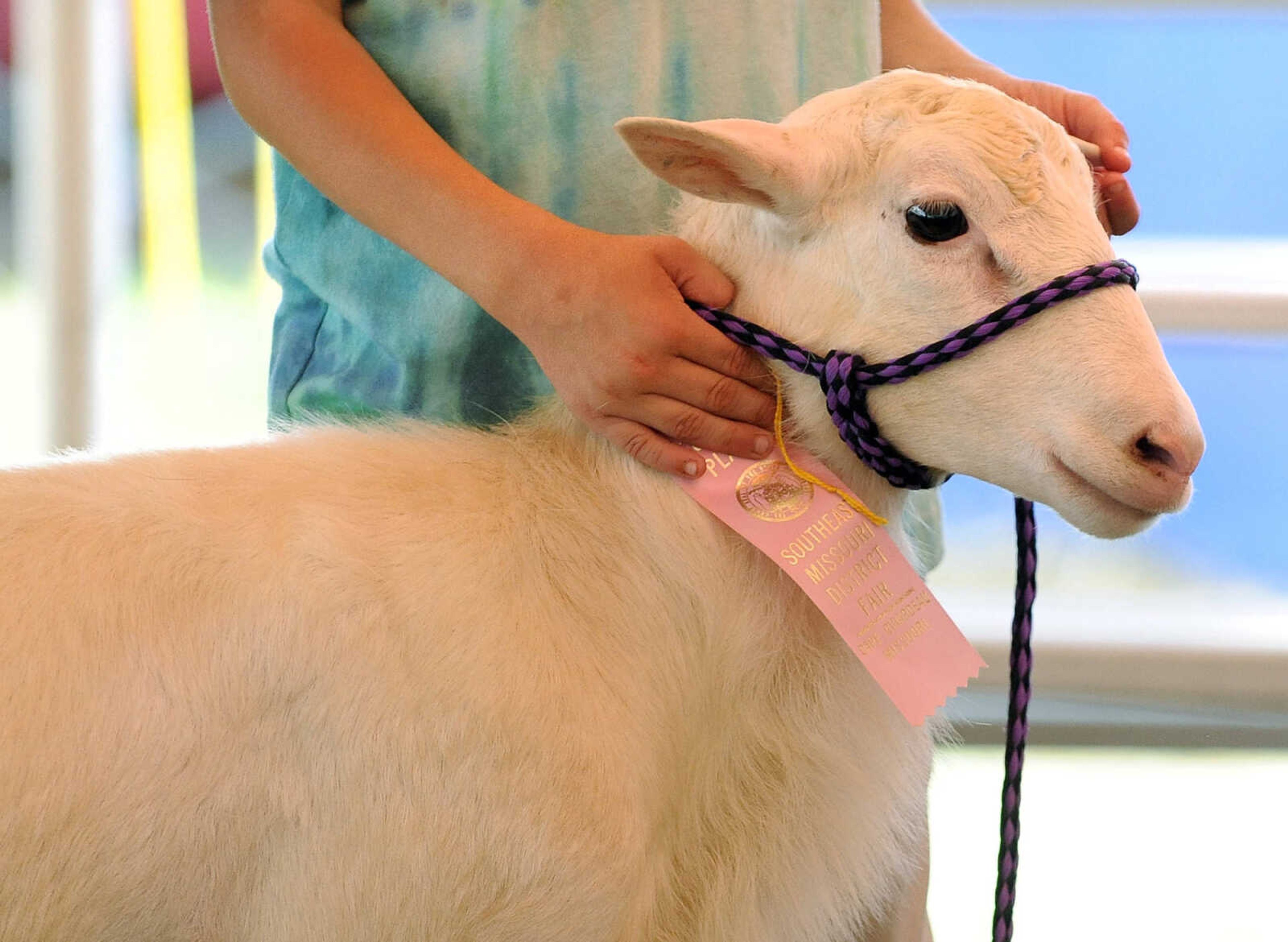 LAURA SIMON ~ lsimon@semissourian.com

The SEMO District Fair continues on Wednesday, Sept. 14, 2016, at Arena Park in Cape Girardeau.