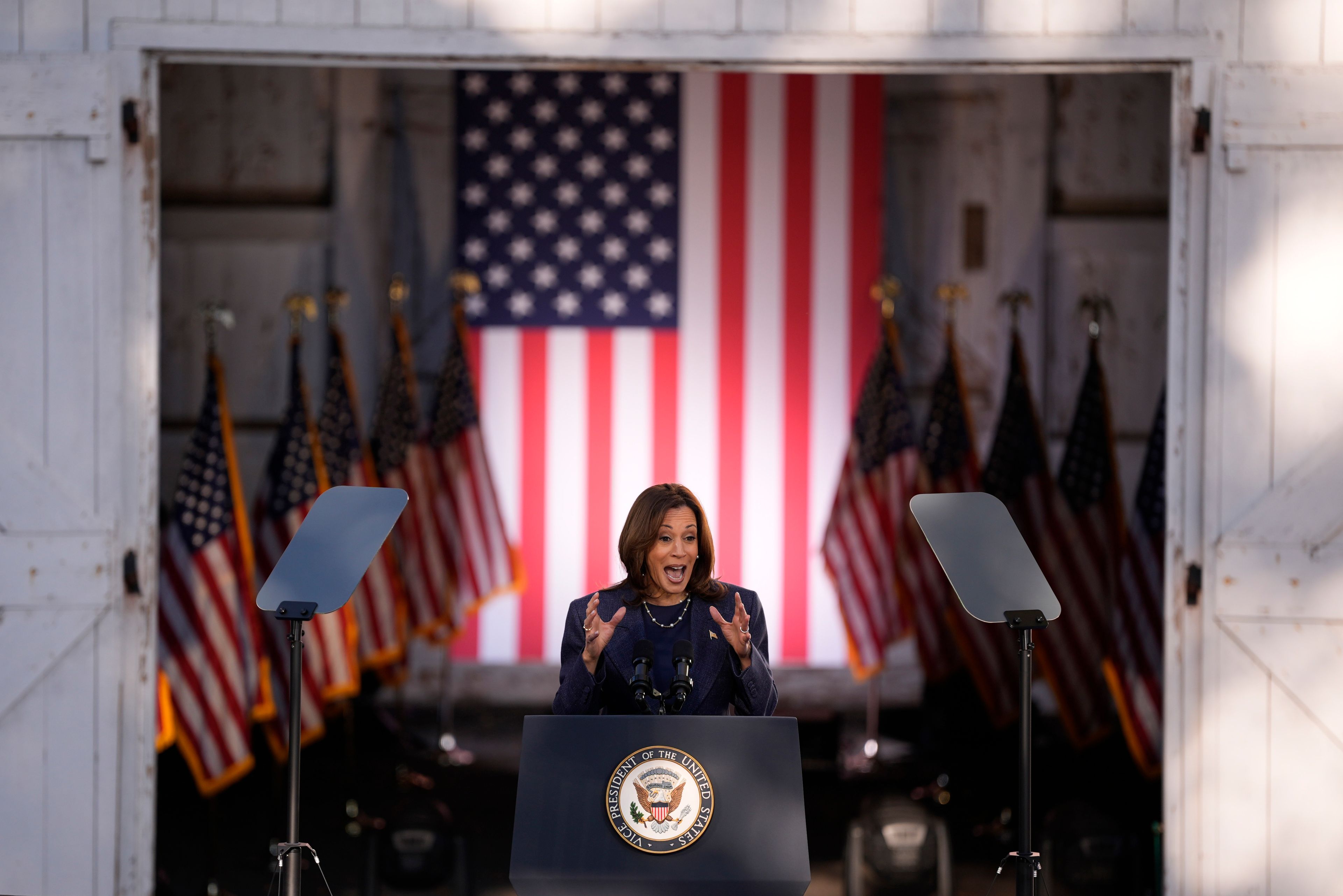 Democratic presidential nominee Vice President Kamala Harris speaks during a campaign event at Washington Crossing Historic Park, Wednesday, Oct. 16, 2024, in Washington Crossing, Pa. (AP Photo/Matt Slocum)