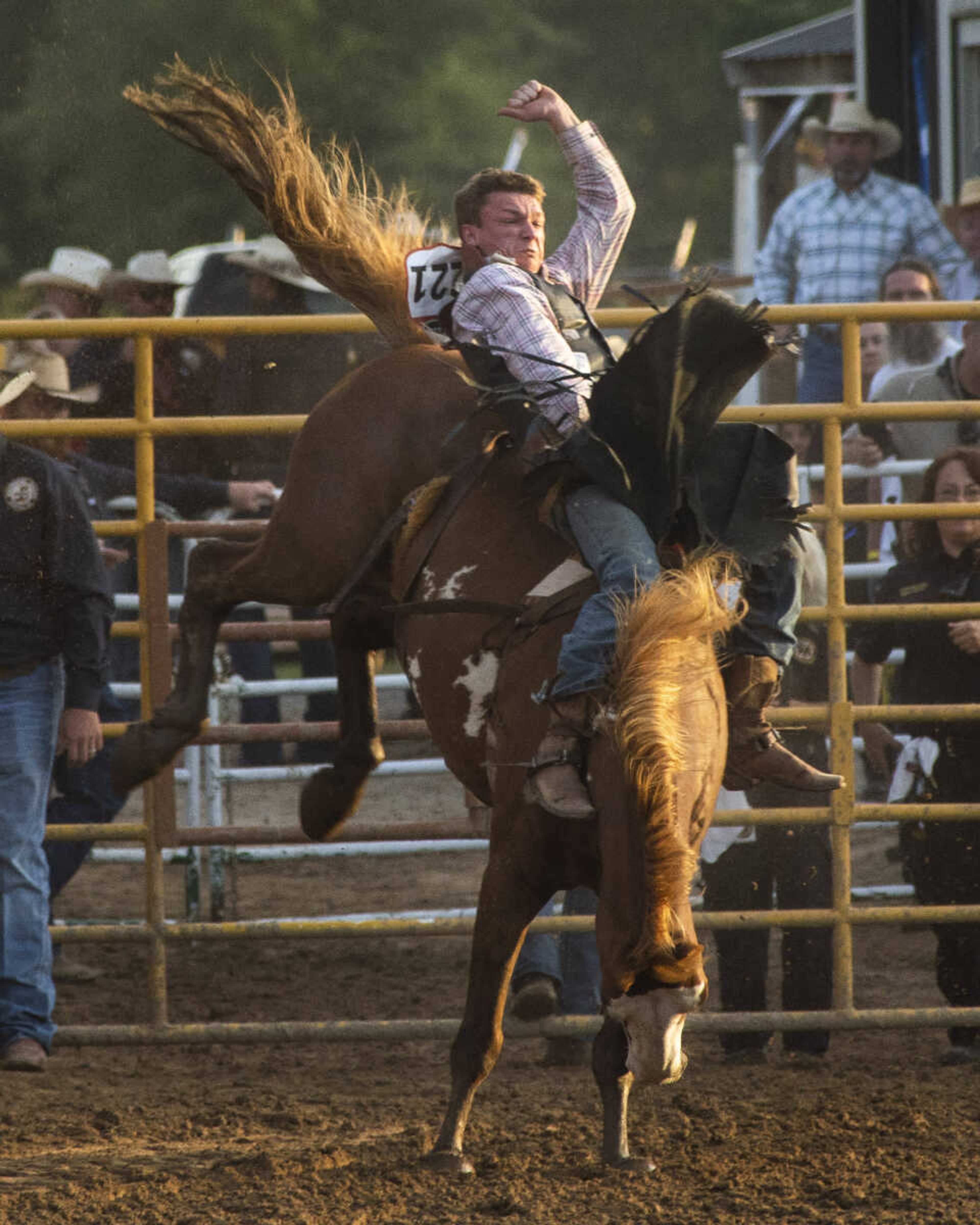 A rider performs during the last night of the Sikeston Jaycee Bootheel Rodeo Saturday, Aug. 14, 2021,&nbsp;in Sikeston, Missouri.