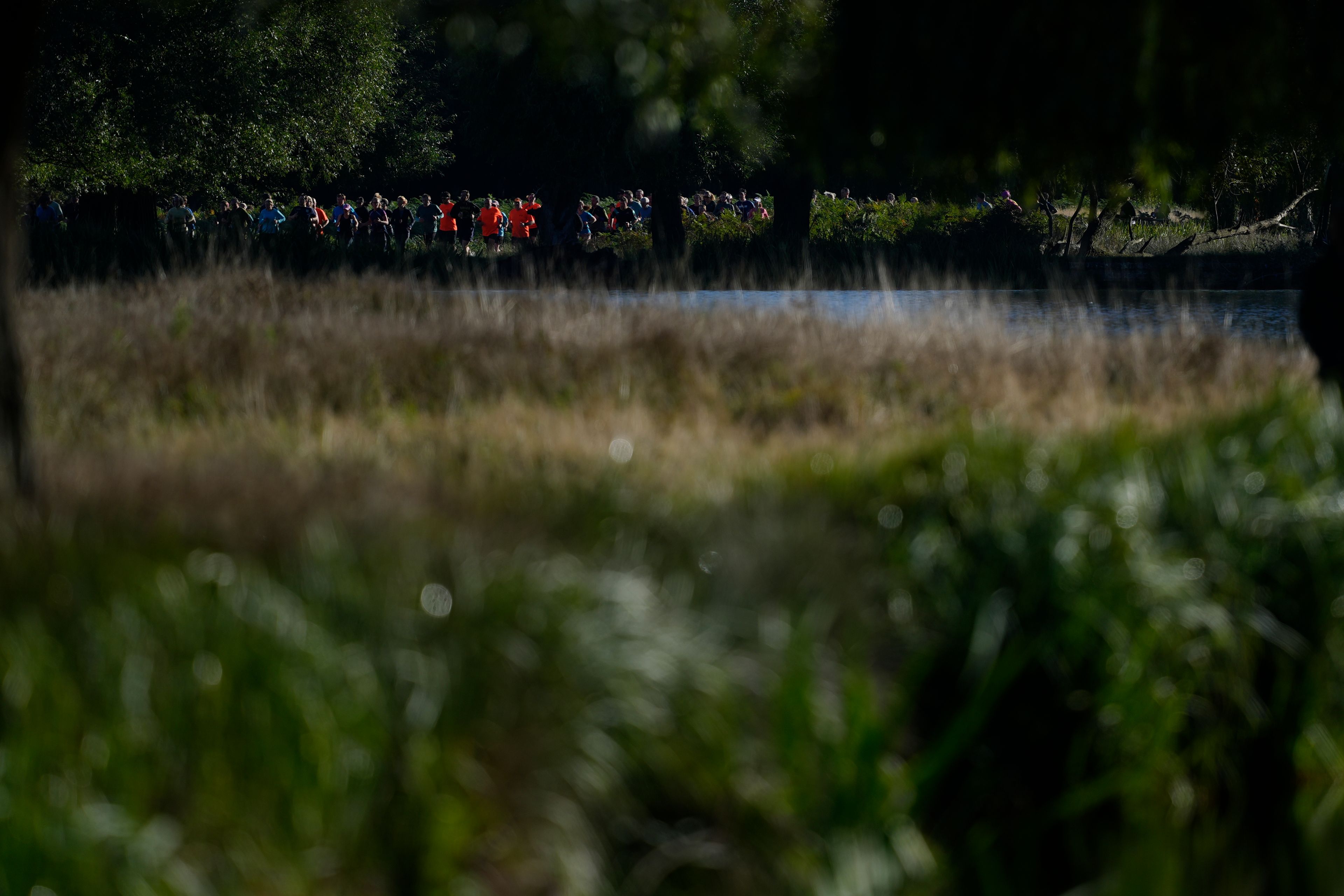 Runners compete in the parkrun event in Bushy Park, southwest London, Saturday, Sept. 28, 2024. (AP Photo/Alastair Grant)