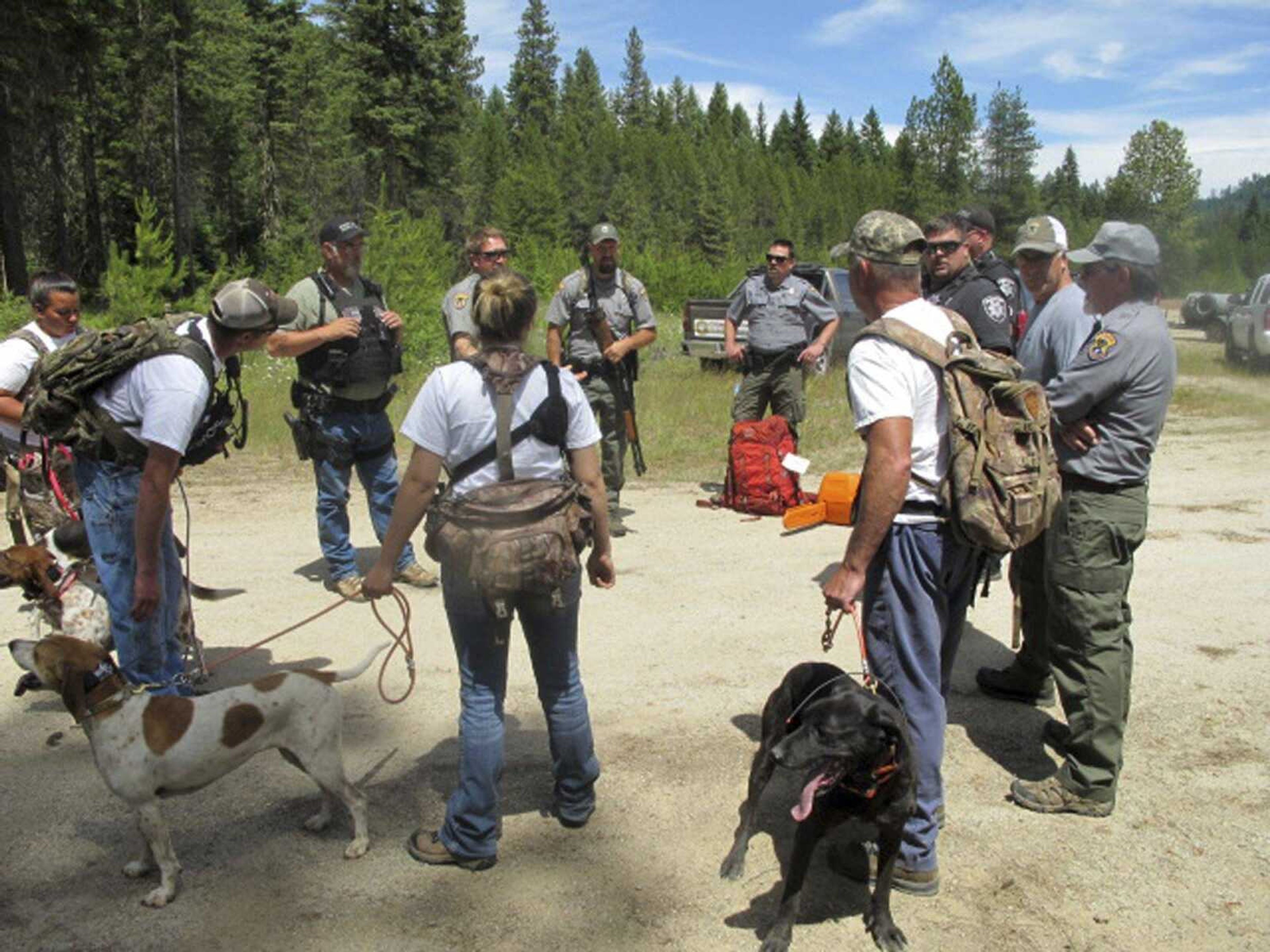 Authorities and volunteers gather Tuesday to search for a black bear in the Idaho Panhandle National Forests after the bear with a cub attacked a 60-year-old woman and her two dogs.