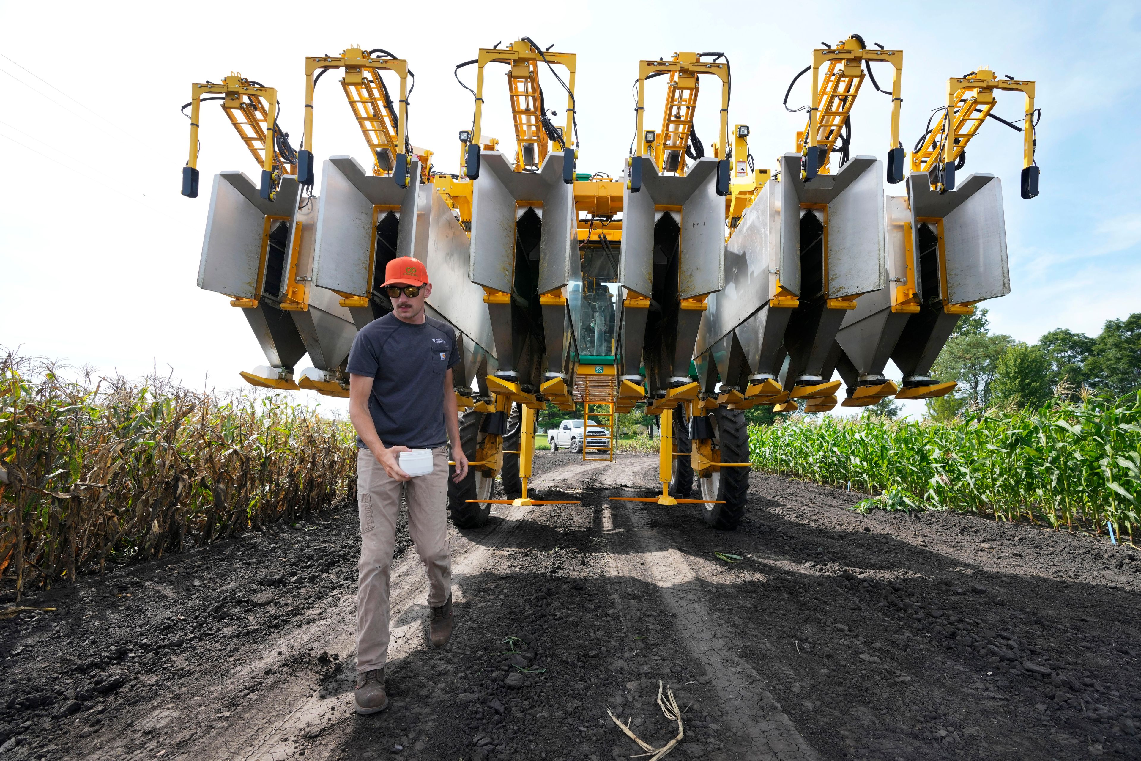 PowerPollen intern Evan Mark removes pollen from a collector after it was driven through a cornfield, Thursday, Aug. 22, 2024, near Ames, Iowa. (AP Photo/Charlie Neibergall)