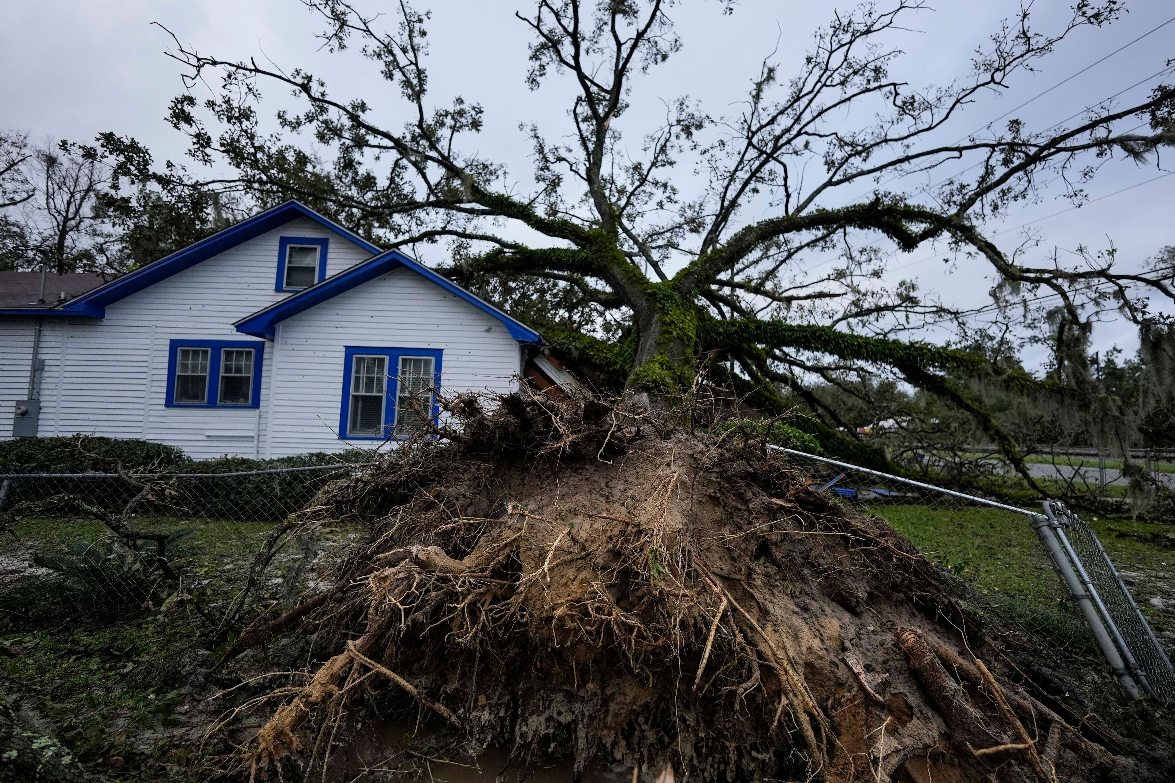 A damaged 100-year-old home is seen after an Oak tree landed on it after Hurricane Helene moved through the area Friday, Sept. 27, 2024, in Valdosta, Ga. (AP Photo/Mike Stewart)