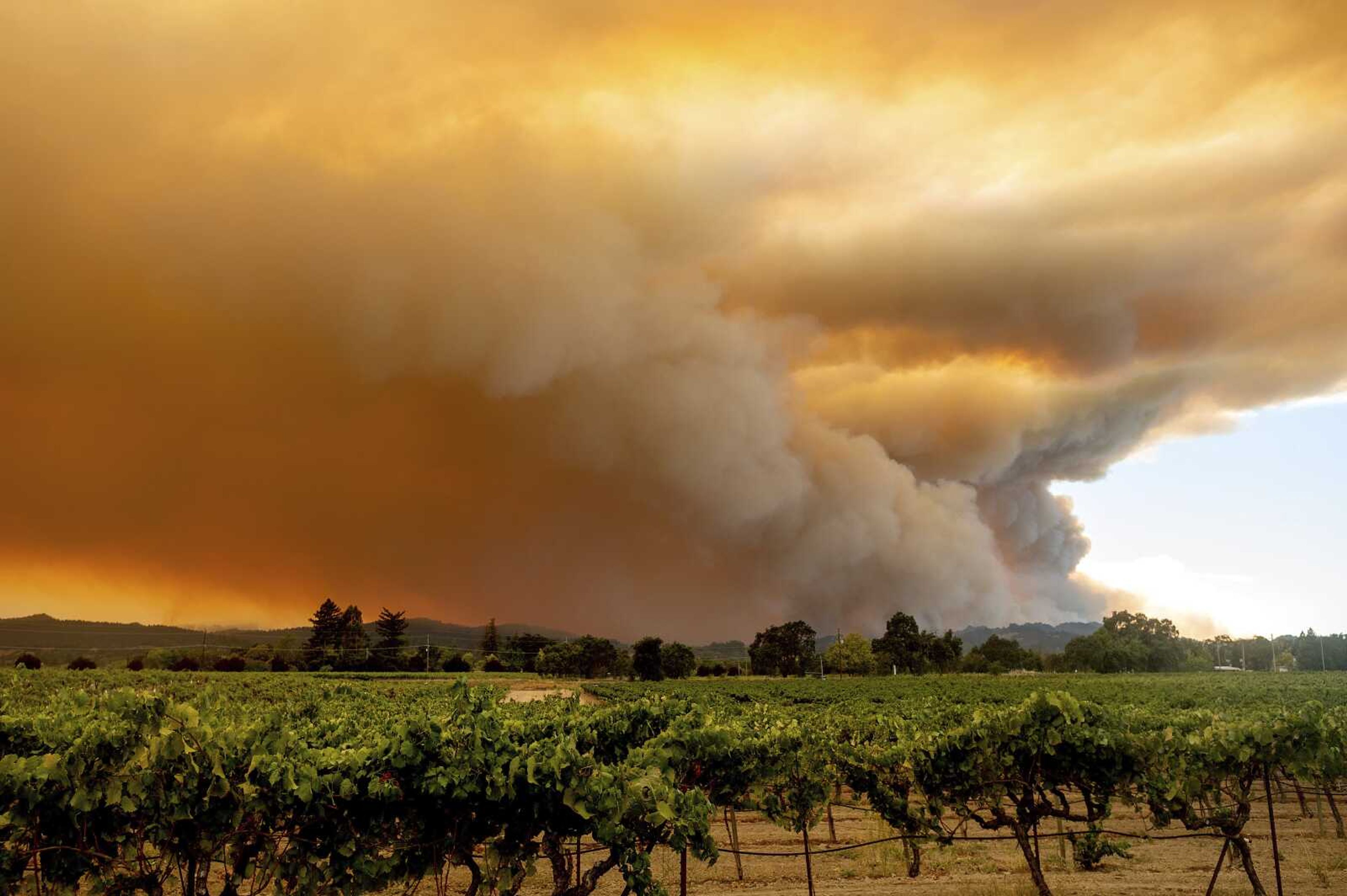 A plume billows over Healdsburg, California, as the LNU Lightning Complex fires burn Thursday. Fire crews across the region scrambled to contain dozens of wildfires sparked by lightning strikes.