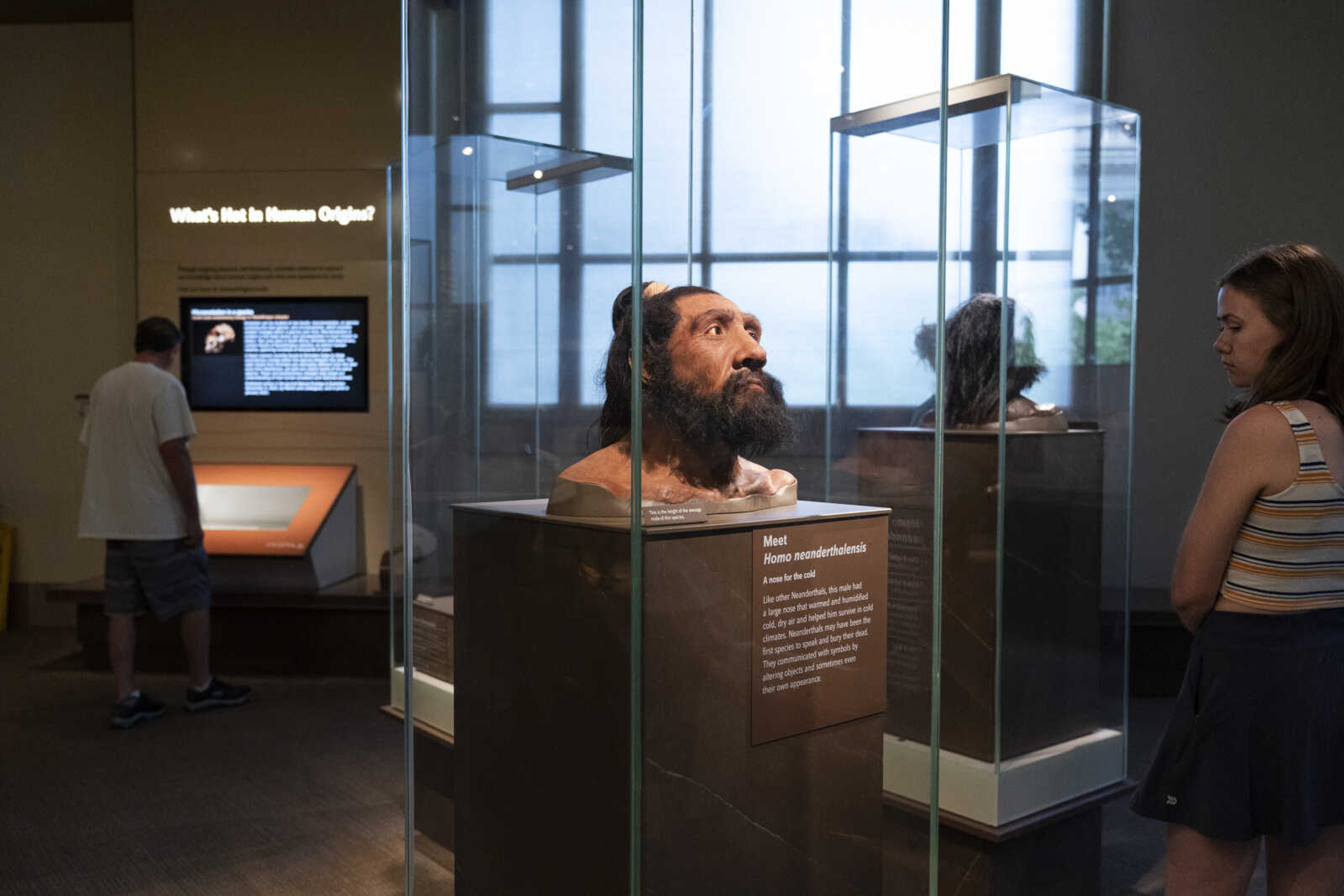 People visit exhibits inside the Smithsonian Hall of Human Origins on July 20 at the Smithsonian Museum of Natural History in Washington. Until recently, the genetic legacy from ancient humans was invisible because scientists were limited to what they could glean from the shape and size of bones. But there has been a steady stream of discoveries from ancient DNA, an area of study pioneered by Nobel Prize winner Svante Paabo who first pieced together a Neanderthal genome.