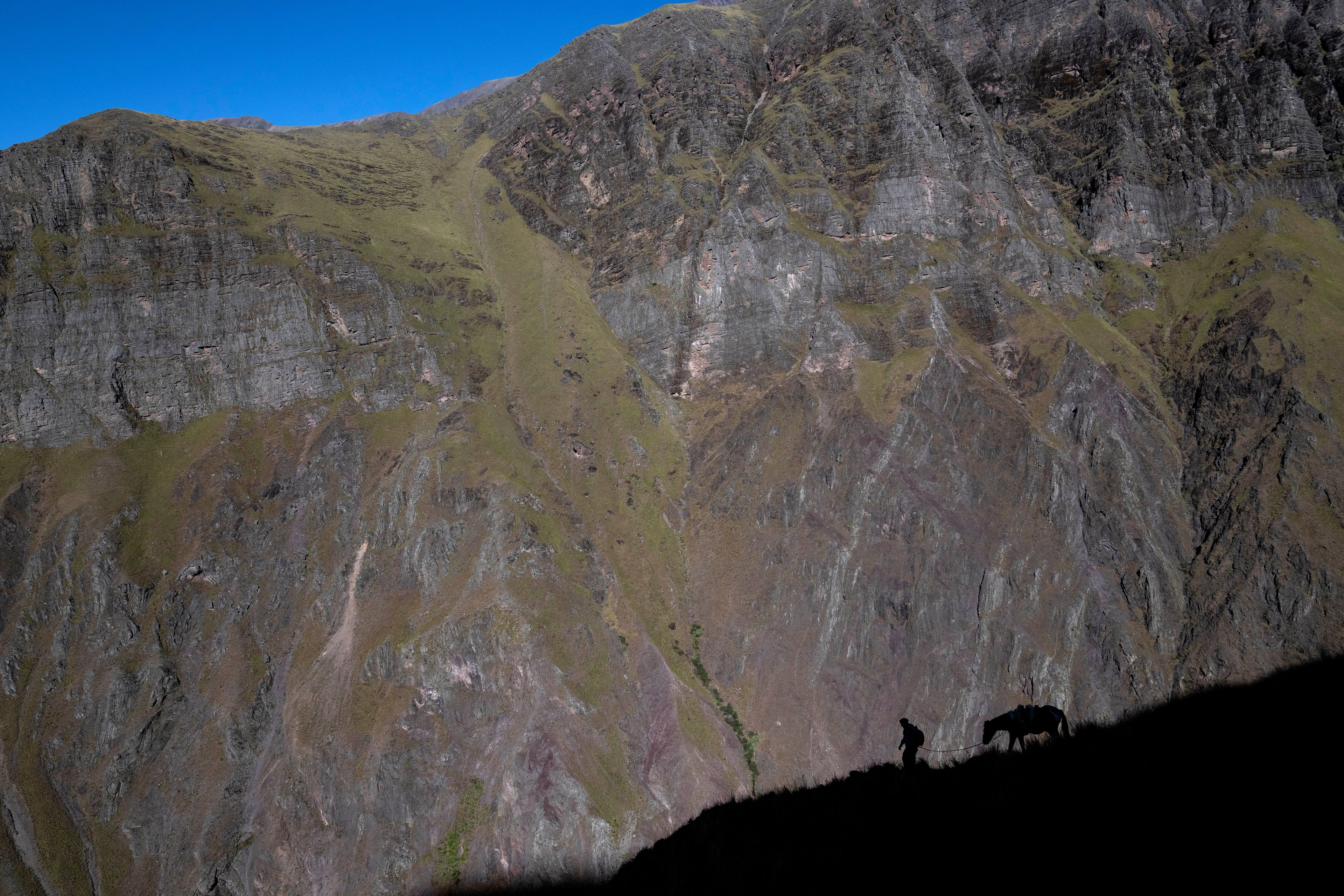 Dr. Jorge Fusaro leads his rented mule along a mountain path on his way to treating families scattered across the Cerro Chañi, in the Jujuy province of Argentina, May 5, 2024. (AP Photo/Rodrigo Abd)