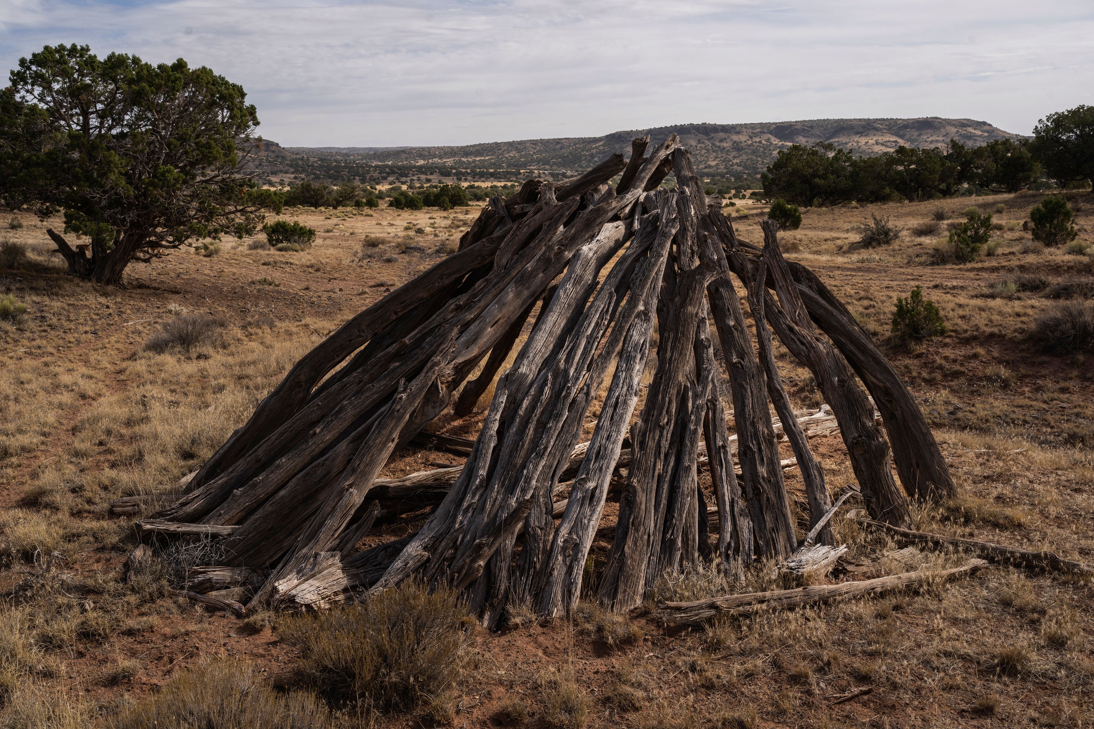 Tree trunks form an old Navajo Indigenous home, on the Navajo Nation, on the outskirts of Dilkon, Ariz., Thursday, Oct. 17, 2024. (AP Photo/Rodrigo Abd)