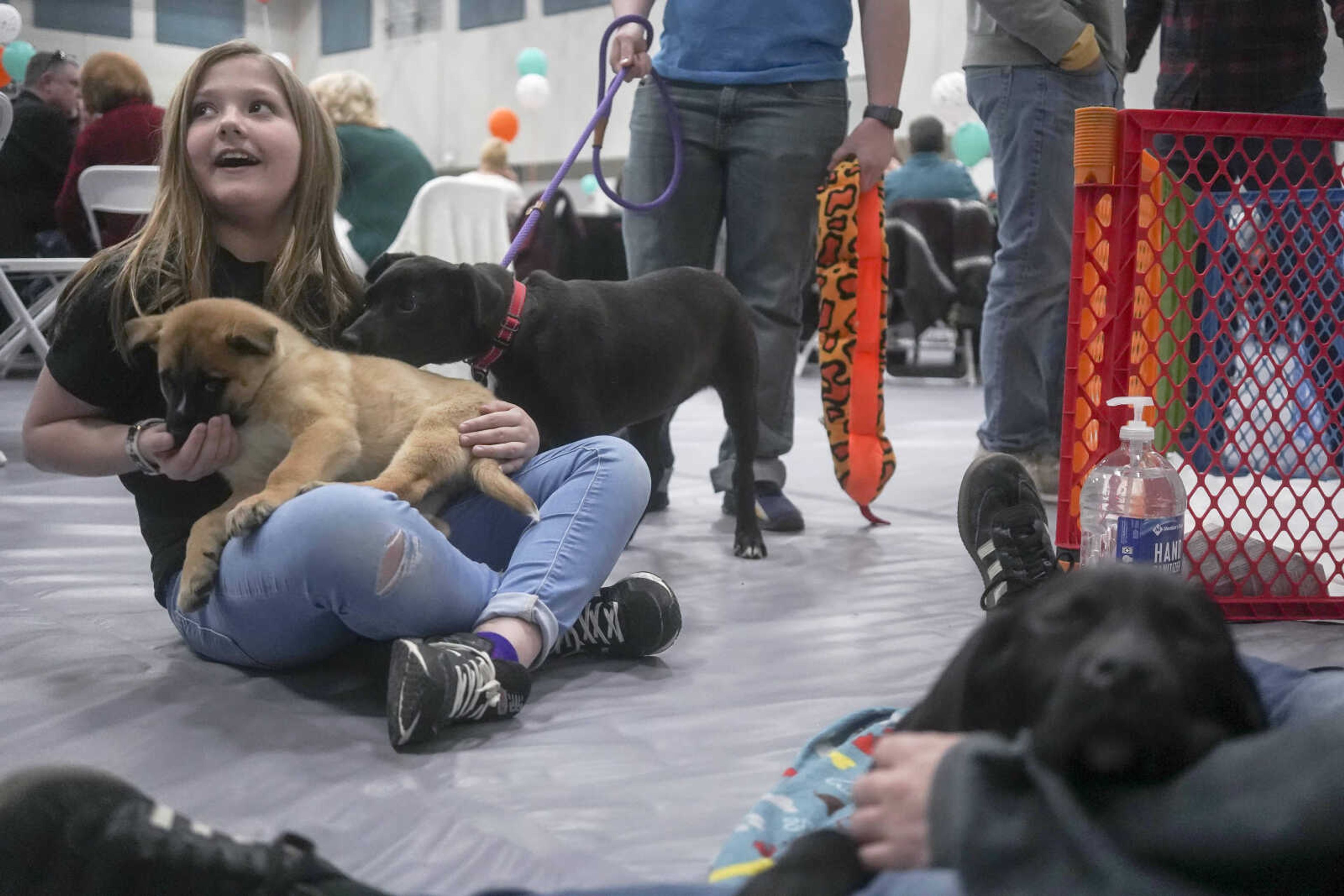 Bella Allred plays with puppies during the Humane Society of Southeast Missouri Power of Pawsitivity fundraiser Saturday, Feb. 29, 2020, at the Jackson Civic Center in Jackson.