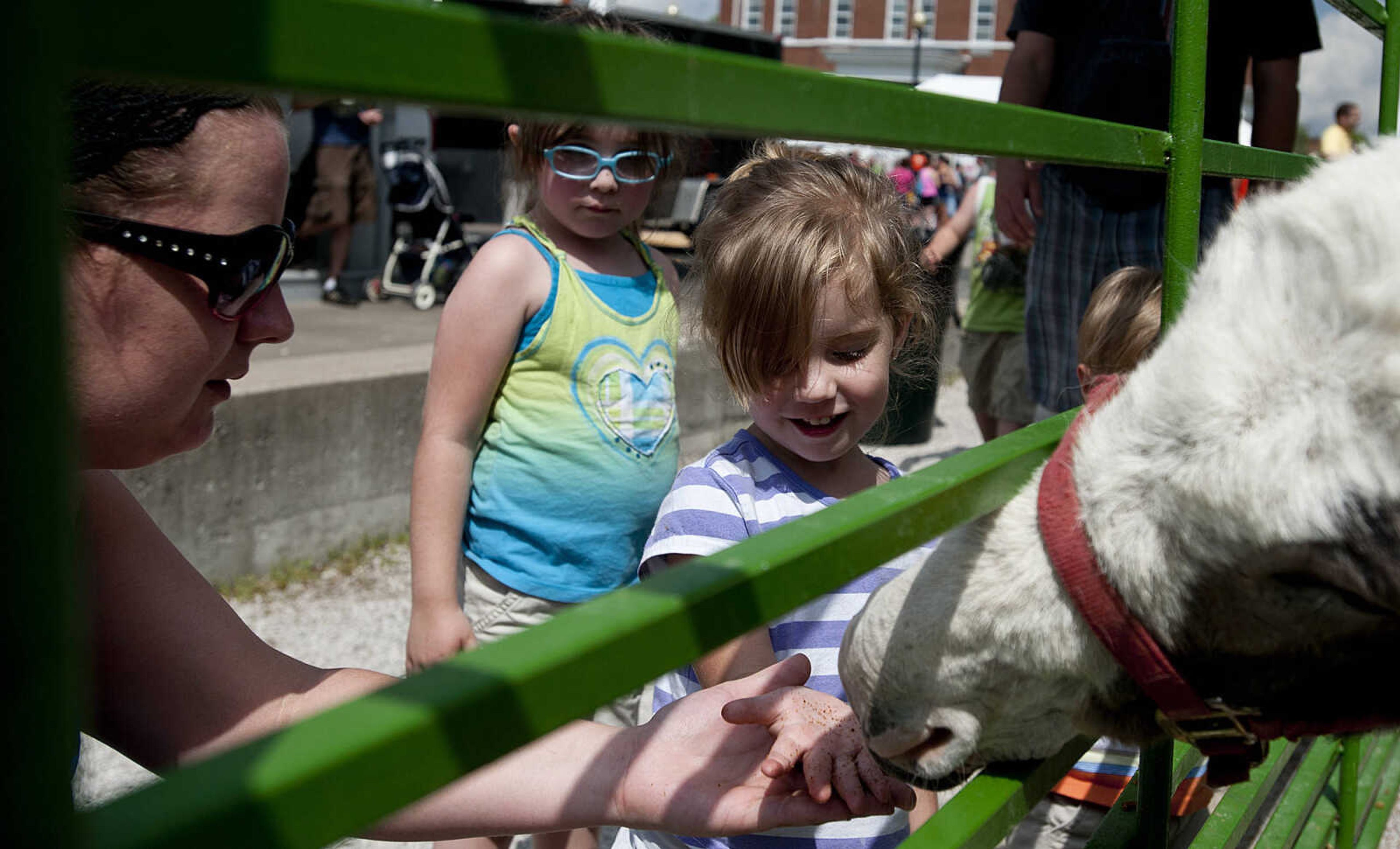 Amanda Rose, left, helps her daughter Carlene Rose, 2, feed Clover the Donkey at Perryville Mayfest Saturday, May 10, in Perryville, Mo.