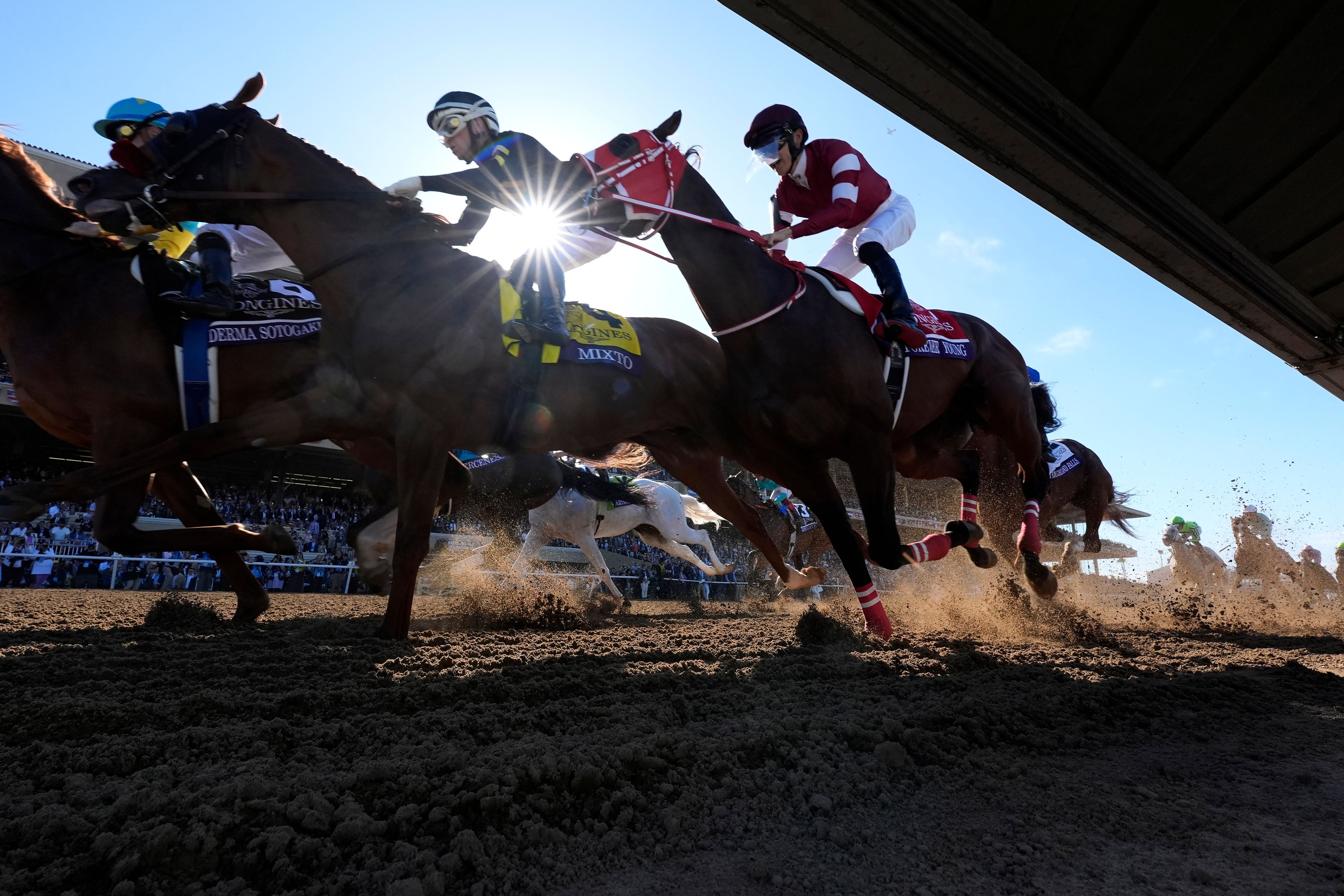 Riders compete in the Breeders' Cup Classic horse race in Del Mar, Calif., Saturday, Nov. 2, 2024. (AP Photo/Gregory Bull)