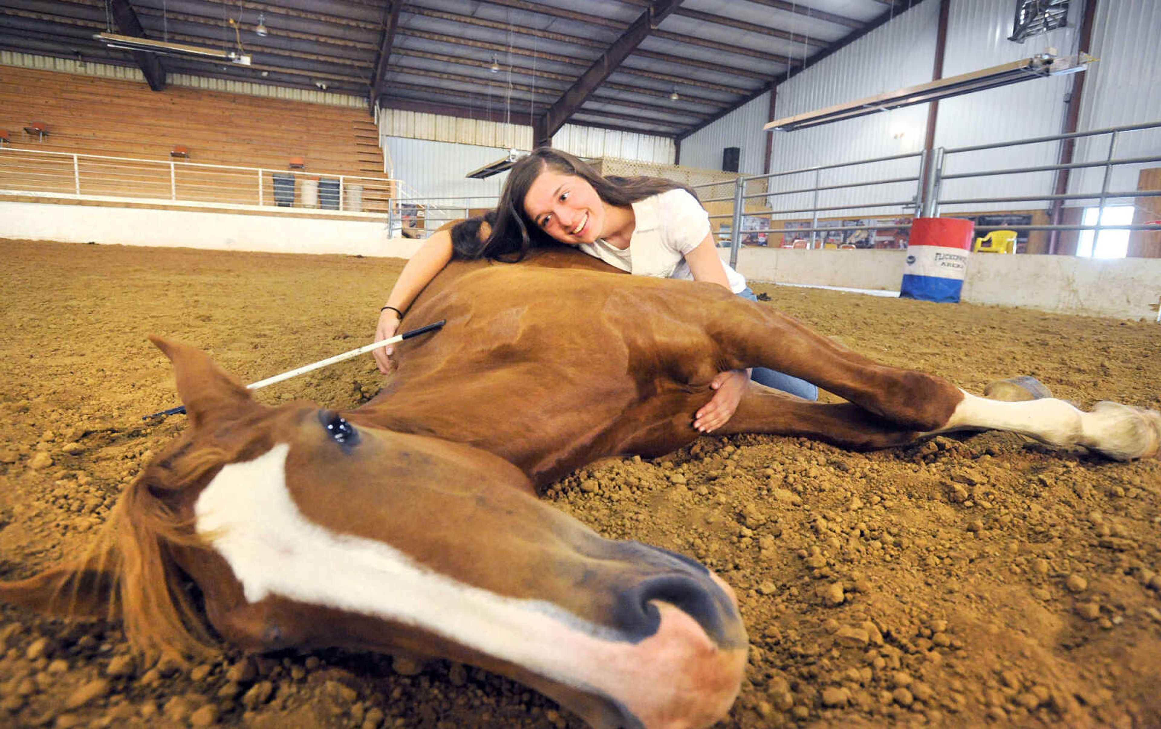 LAURA SIMON ~ lsimon@semissourian.com

Allison Elfrink and her wild mustang, Chico, at Flickerwood Arena in Jackson, Missouri, Wednesday, Aug. 5, 2015.