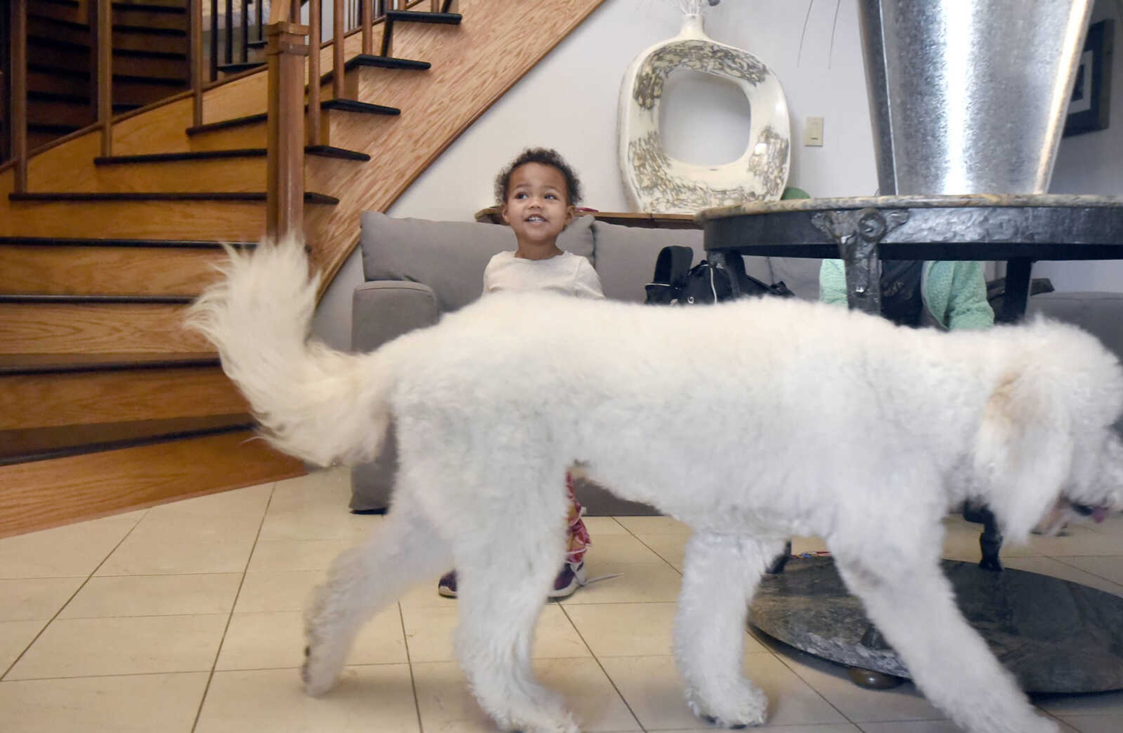 Lennyx Becking, 1, tries on her mother's shoes  as Marley walks by on Saturday, Jan. 28, 2017, at the Becking's Cape Girardeau home.