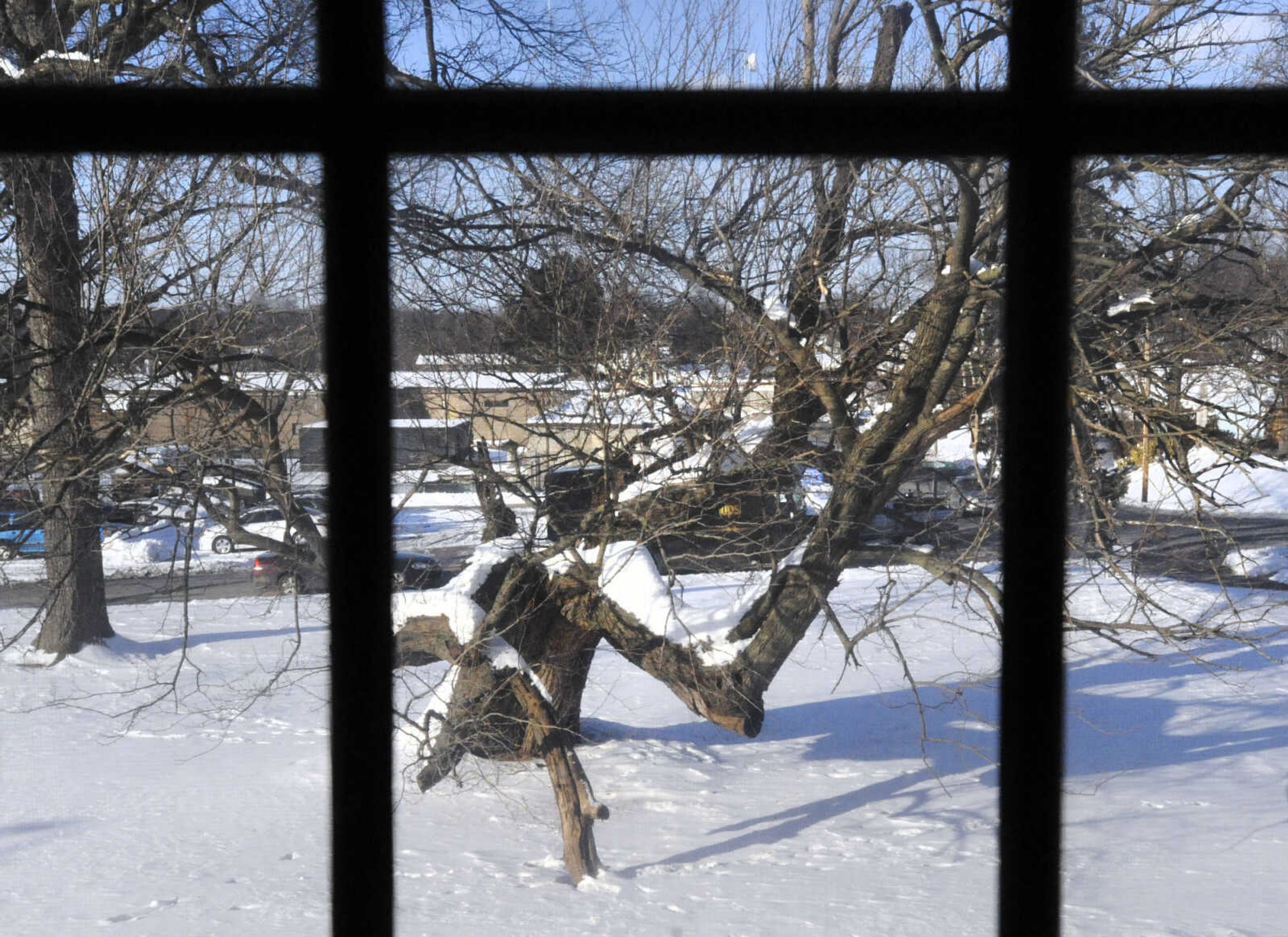 LAURA SIMON ~ lsimon@semissourian.com

The "hanging tree" is seen outside the Cape Girardeau County Courthouse in Jackson, Missouri, Wednesday, Feb. 18, 2015.