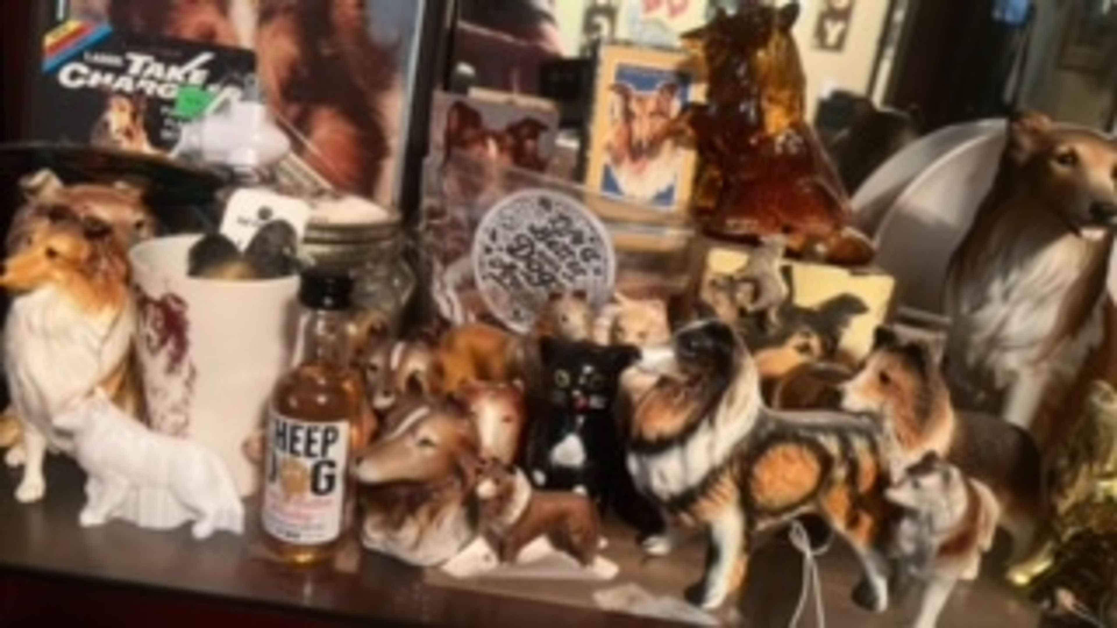 Mary Stucker has been collecting Lassie items since she was a child