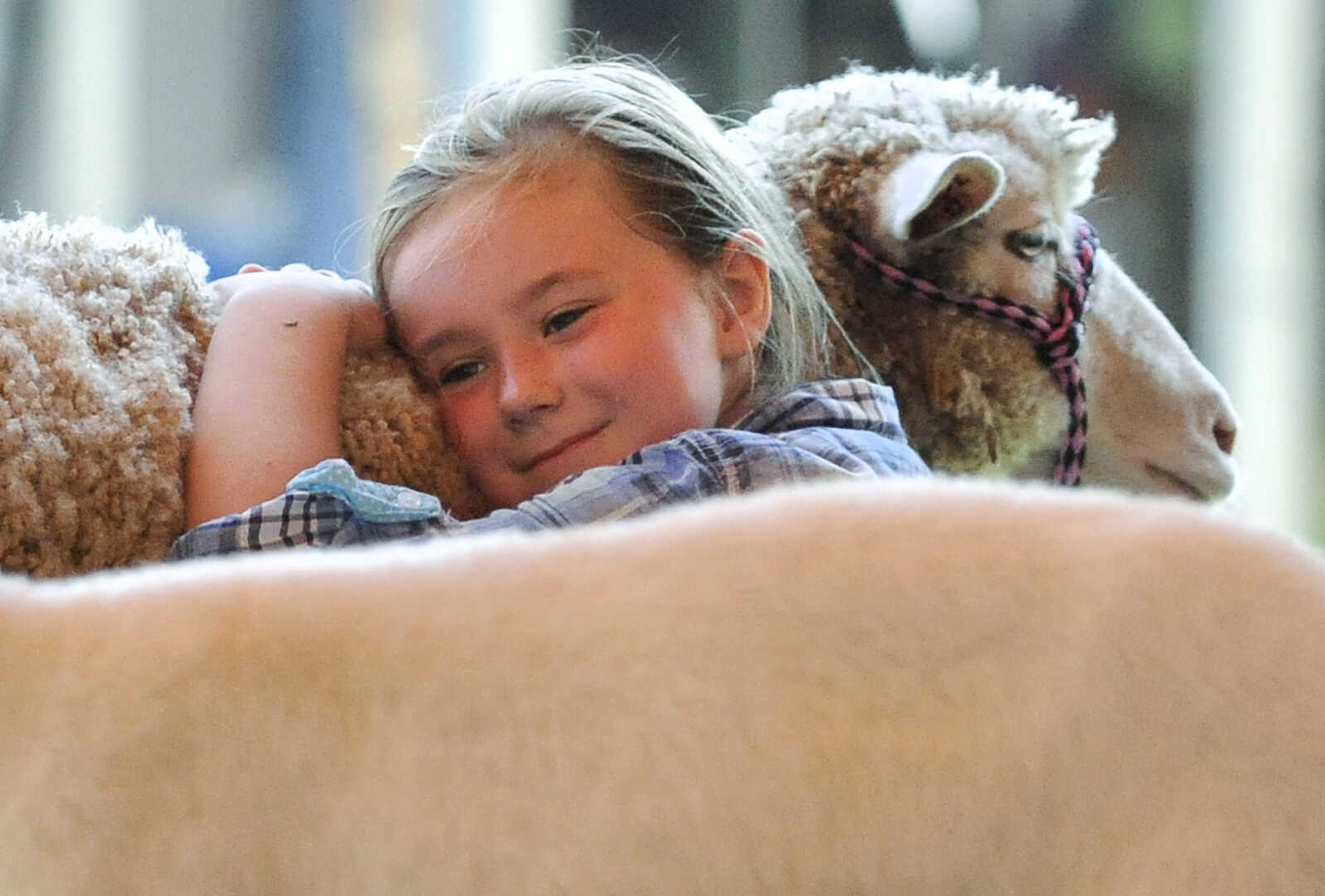 LAURA SIMON ~ lsimon@semissourian.com

Jocelynn Morris gives her sheep a squeeze on Wednesday, Sept. 14, 2016, during the sheep judging at the SEMO District Fair at Arena Park in Cape Girardeau.