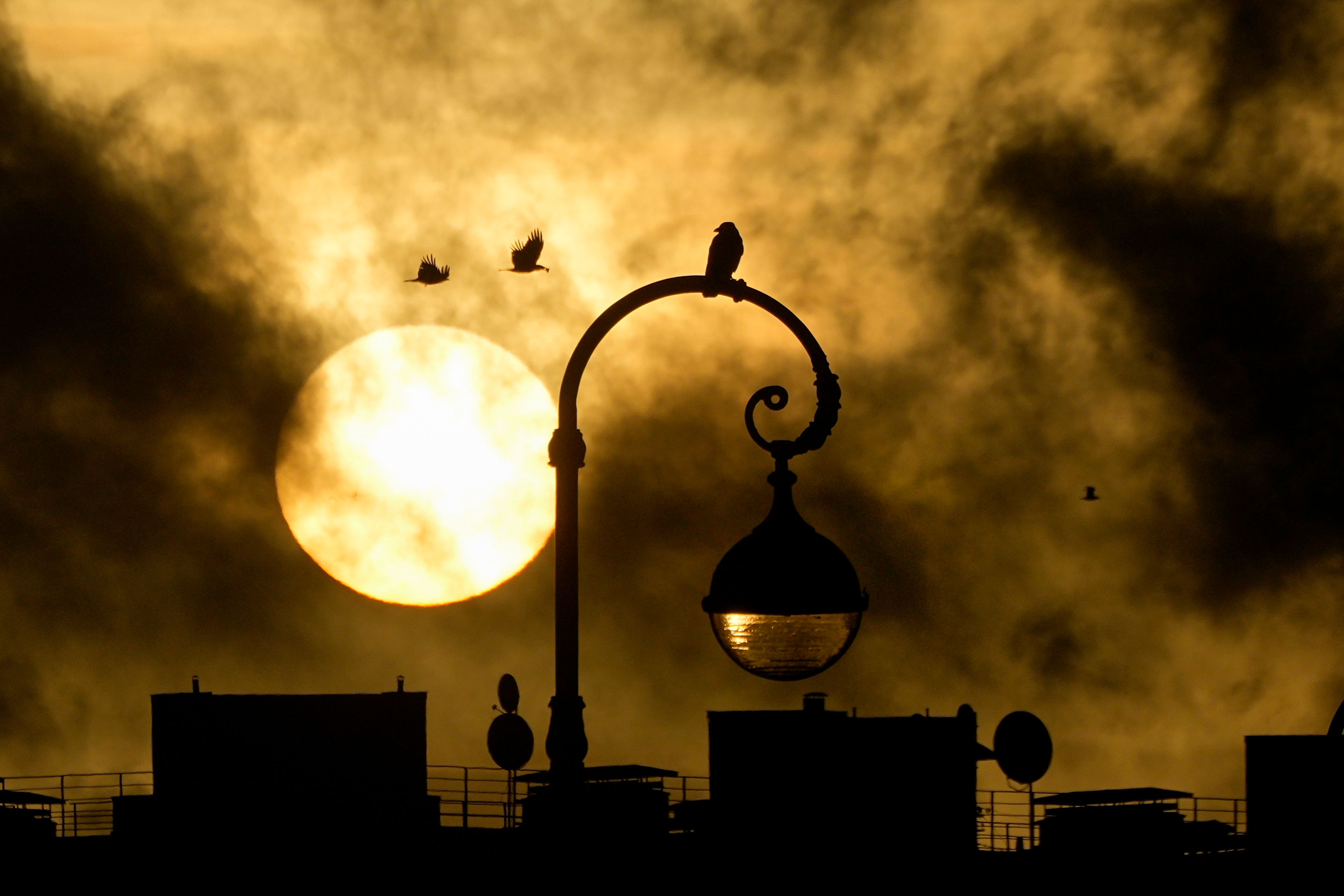 A crow sits on a lamp post during sunset in St. Petersburg, Russia, Sunday, Nov. 10, 2024. (AP Photo/Dmitri Lovetsky)