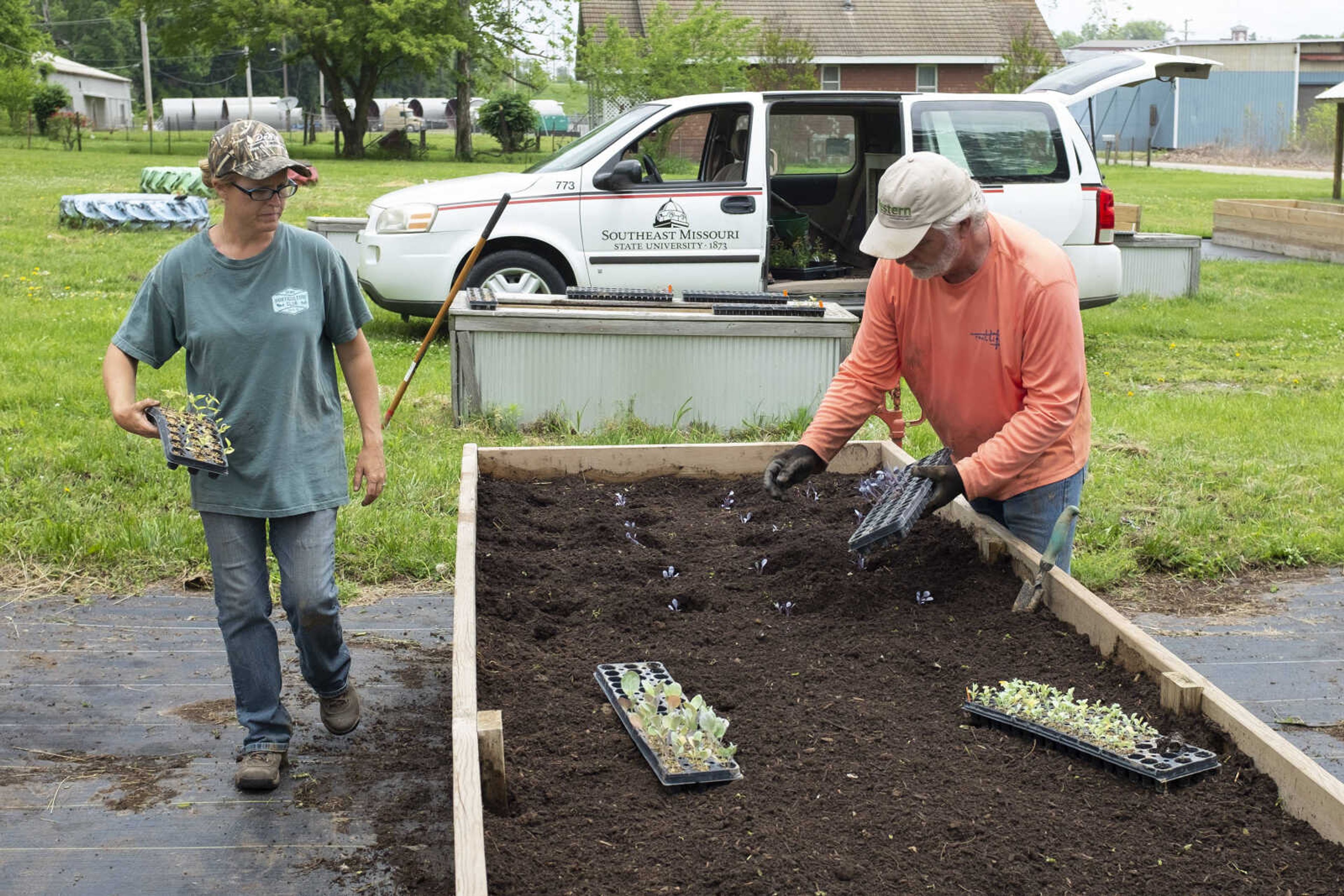 Melissa LaPlant, manager of Southeast Missouri State University's Charles Hutson Greenhouse, and Sven Svenson, a professor of agribusiness and horticulture at the university, tend to gardening tasks Saturday, May 16, 2020, at Fountain Street Community Garden in Cape Girardeau.