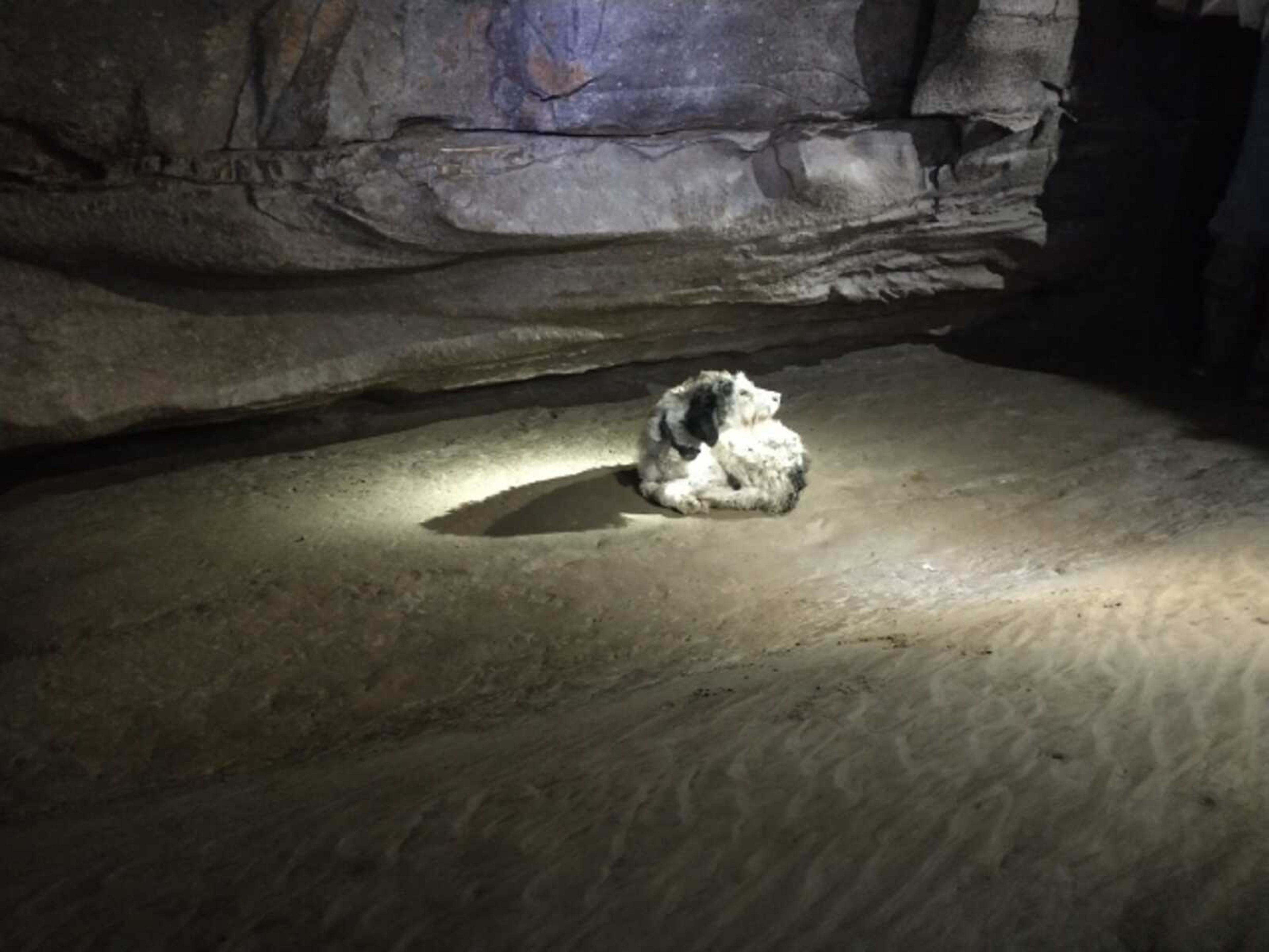 Abby, where she was found in the Tom Moore cave system Saturday in Perry County, Missouri.