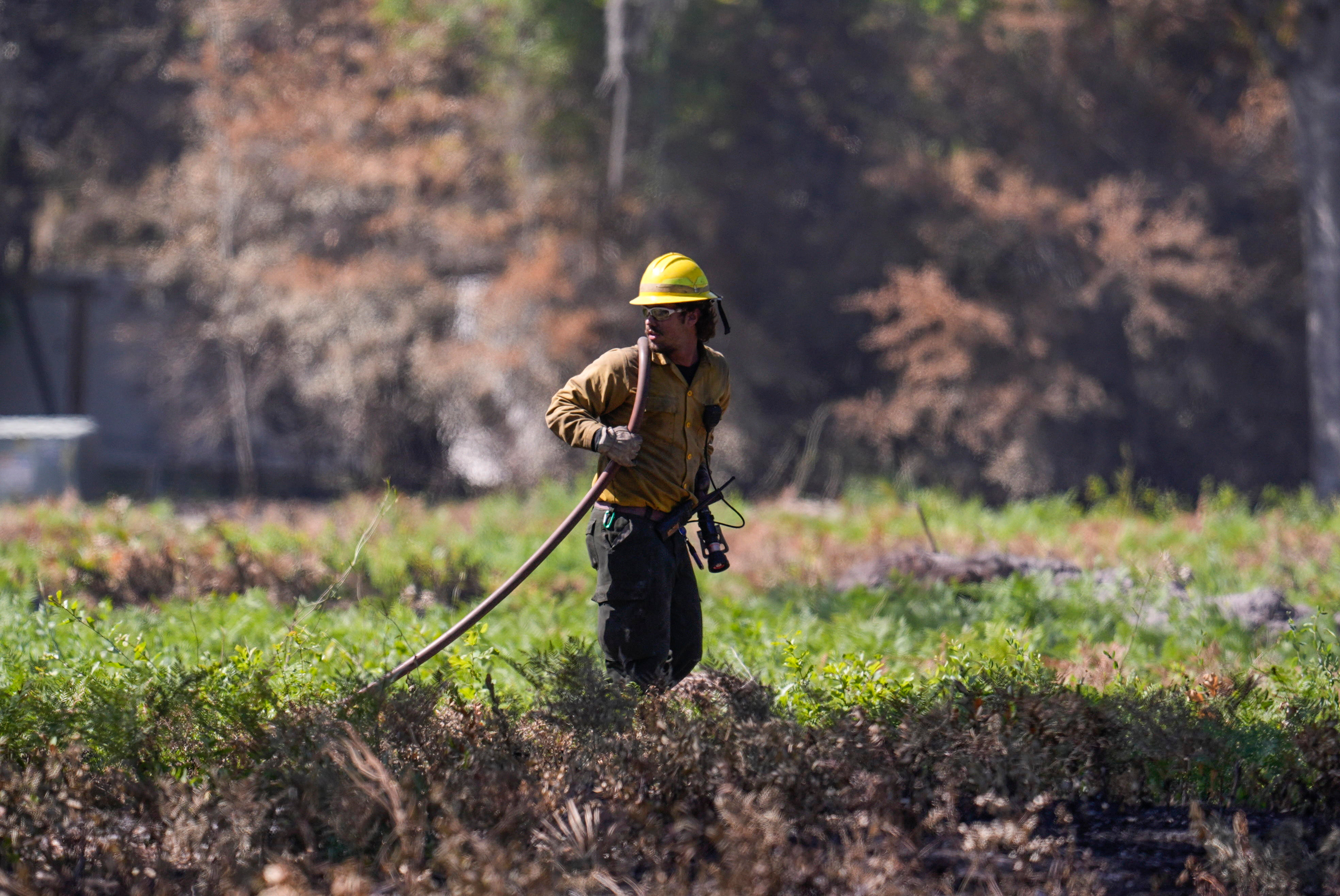 Georgia blaze shows how climate change has led to more wildf