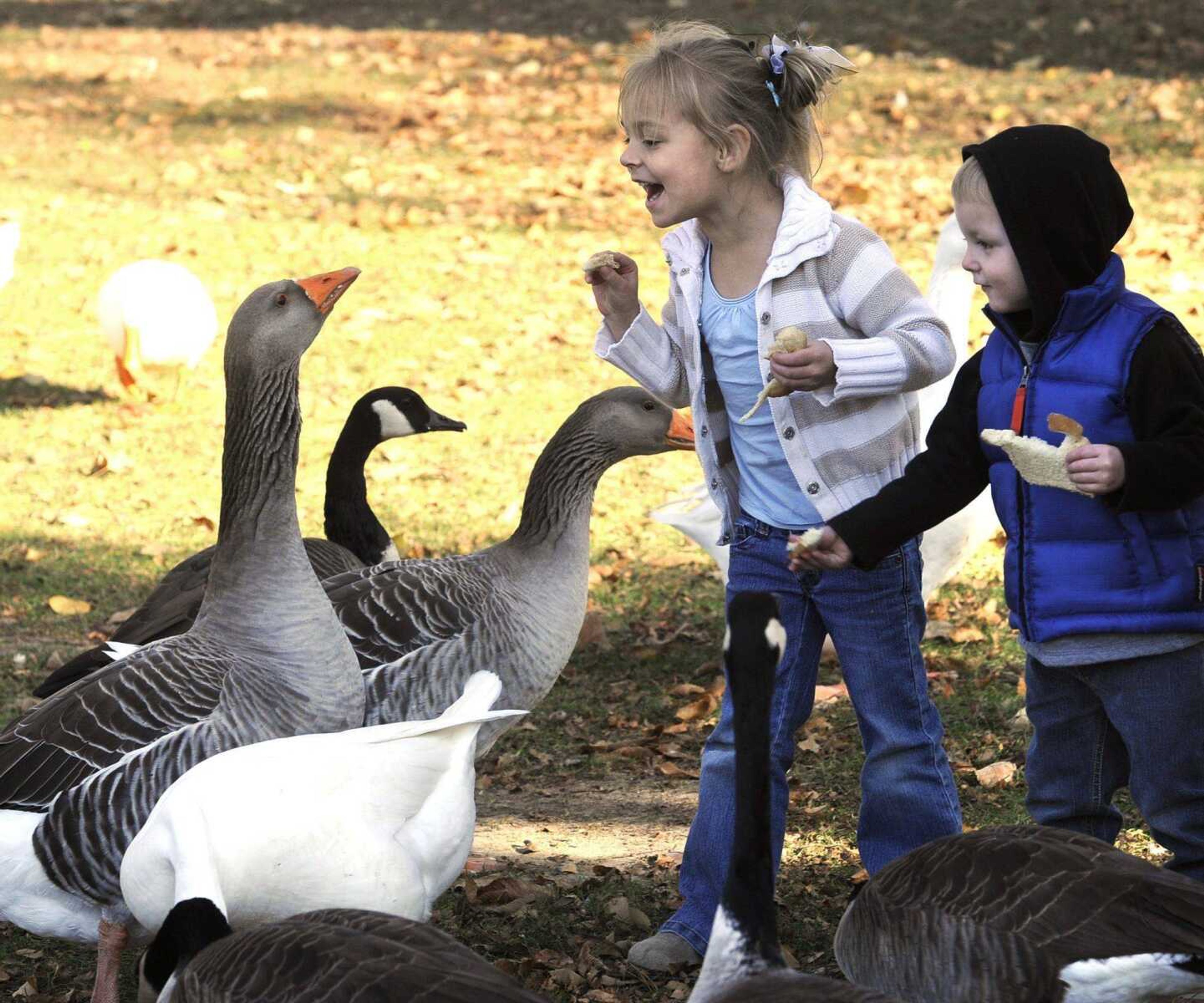 Summer Hale and her brother, Kaden Hale, feed the waterfowl Thursday at Capaha Park in Cape Girardeau. (Fred Lynch)