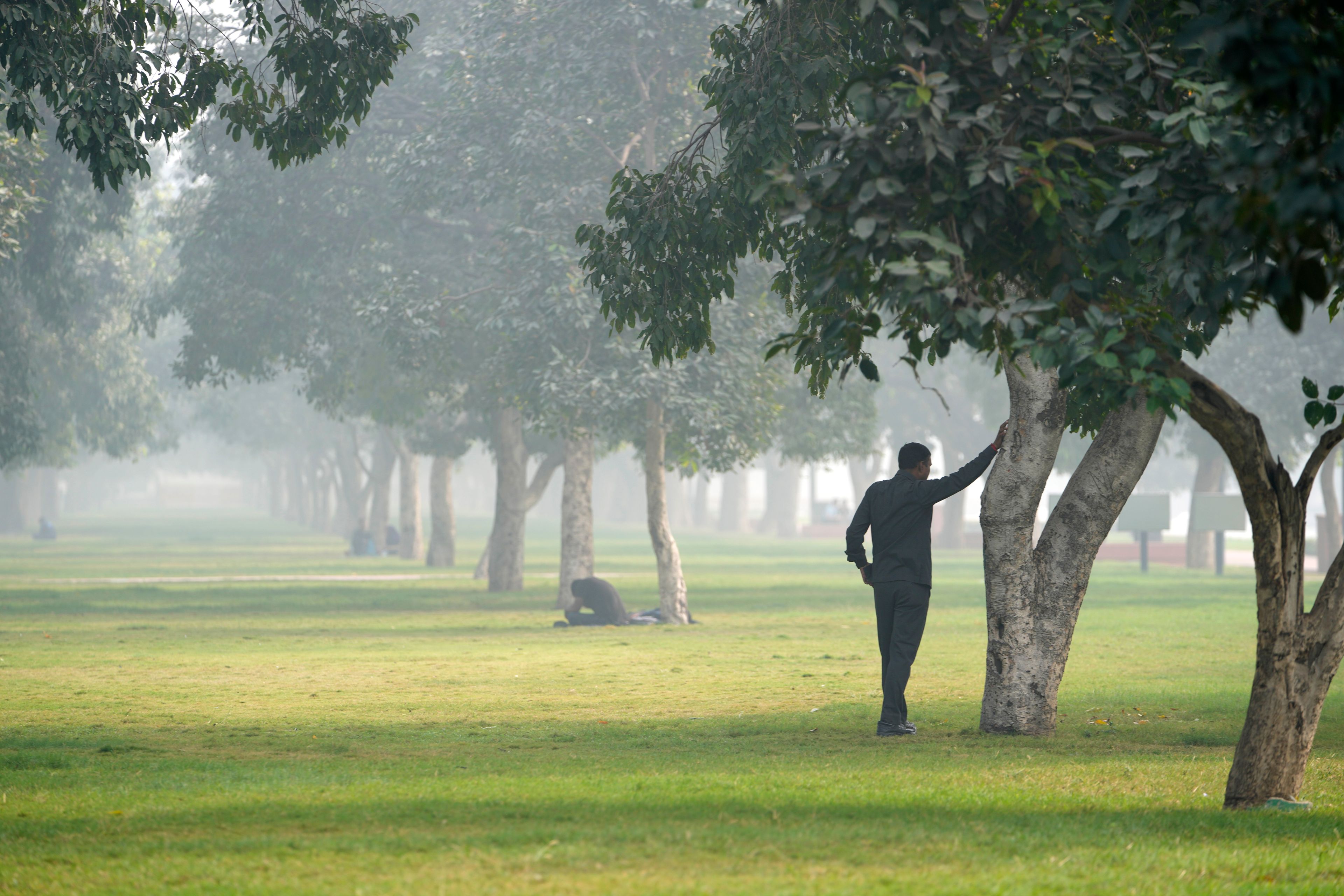 A man leans on a tree on a smoggy morning in New Delhi, India, Thursday, Nov. 14, 2024. (AP Photo/Manish Swarup)