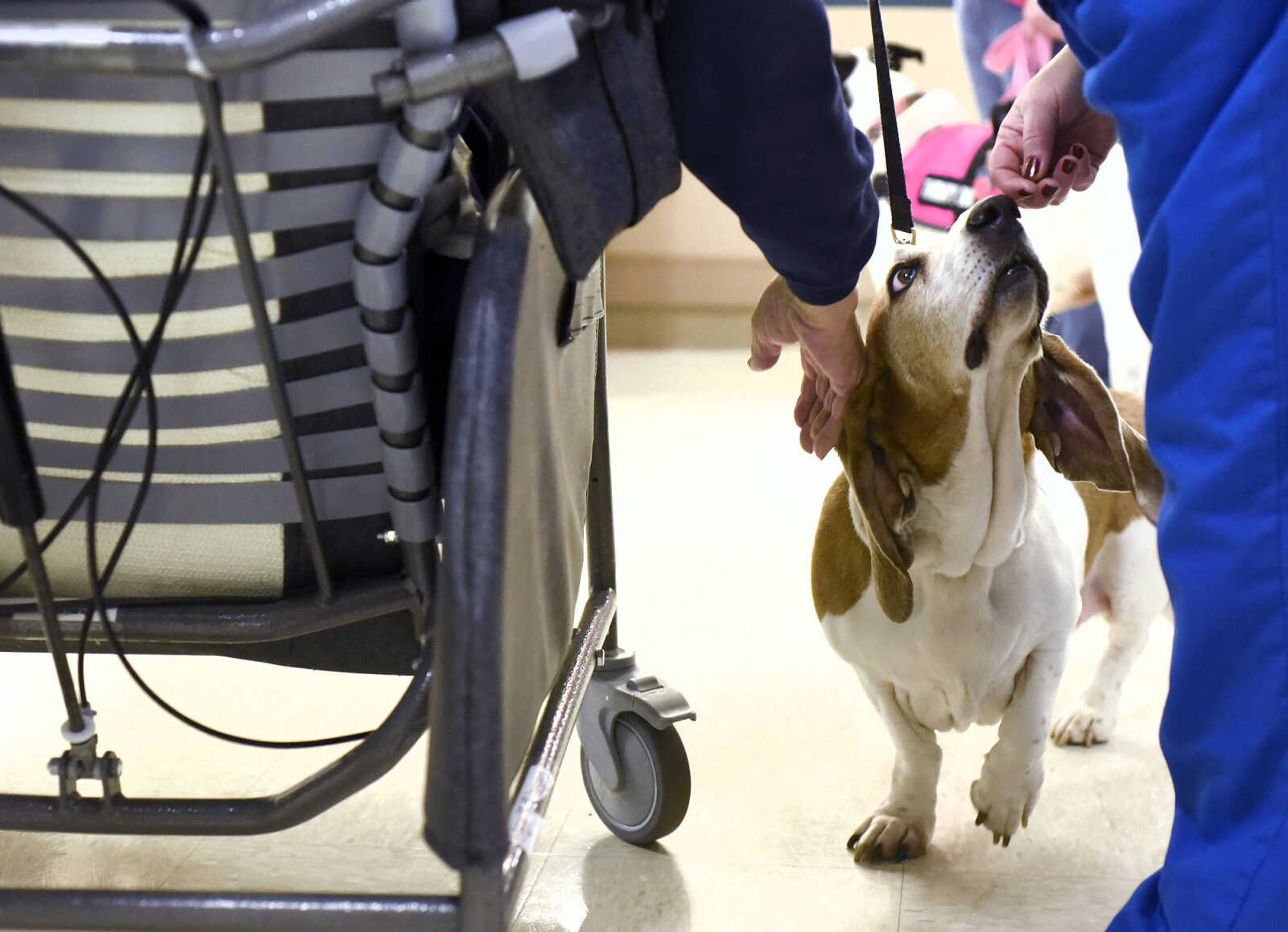 Ed Jaegers reaches down to pet Abner on Tuesday, Feb. 21, 2017, during the Pet Pals visit at the Missouri Veteran's Home in Cape Girardeau.