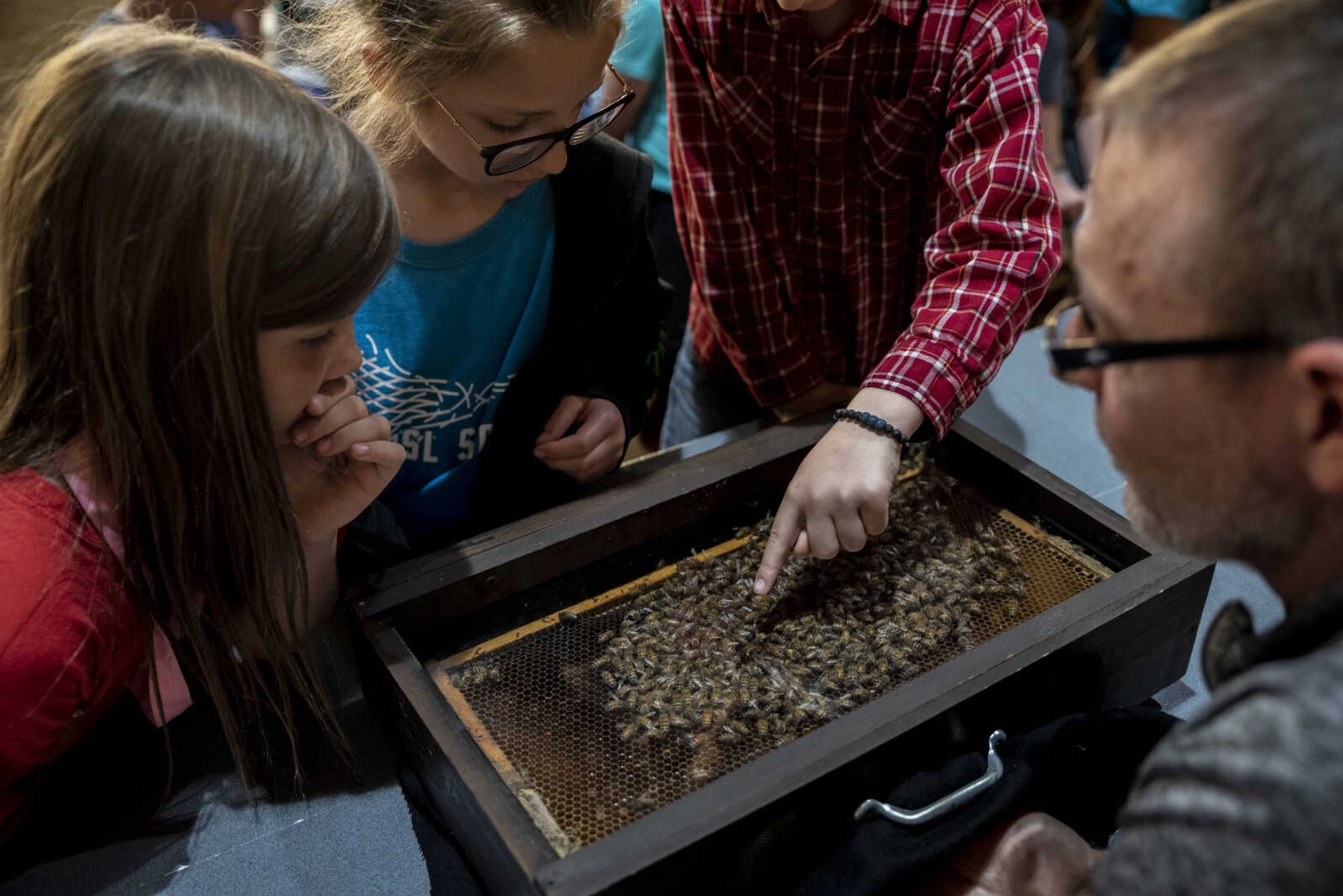 Jack Unverferth, 8, right, points to the queen bee while classmates Sloane Wibbenmeyer, center, and Fallon Graul, left, both 8, look into the bee case held by Jeff Mayfield during the 24th annual Farm Day sponsored by the Southeast Missouri Cattlemen's Association at Flickerwood Arena Wednesday, April 24, 2019, in Jackson. Over 800 students attended Farm Day and learned about a variety of farm-related topics from forestry to soil conservation, as well as farm animals and honey bees.