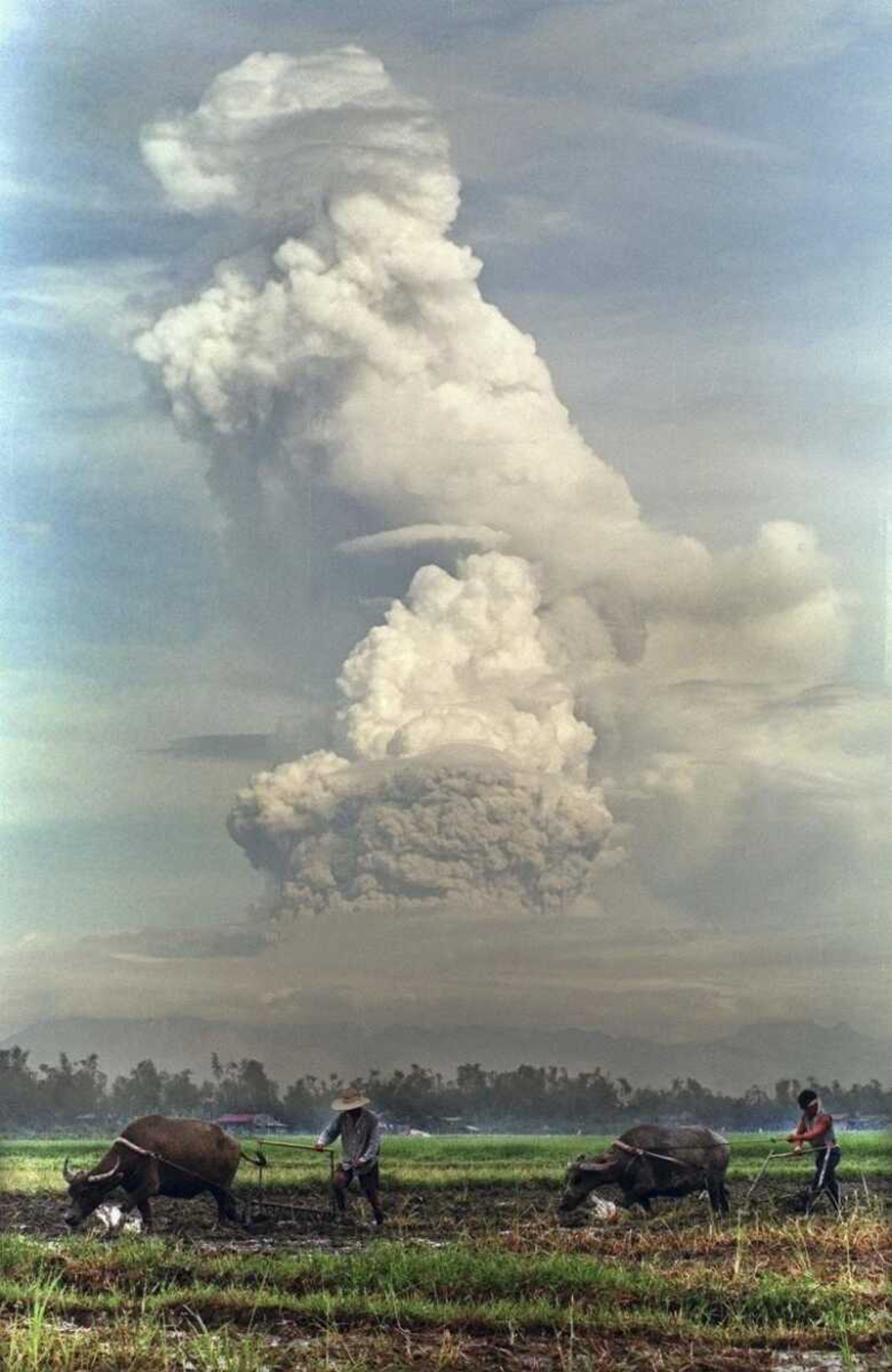  Philipino farmers plowed their rice fields in San Fernando, Philipines, as nearby Mount Pinatubo erupted with smoke and volcanic ash in a July 8, 1991, file photo. The Pinatubo eruption shot so much sulfurous debris into the stratosphere that it is believed it cooled the Earth by .9 degrees for about a year. This precedent is noted by some scientists who have suggested that, if the sun warms the Earth too dangerously, the time may come to deliberately launch a layer of pollutants into the atmosphere to cool the planet.