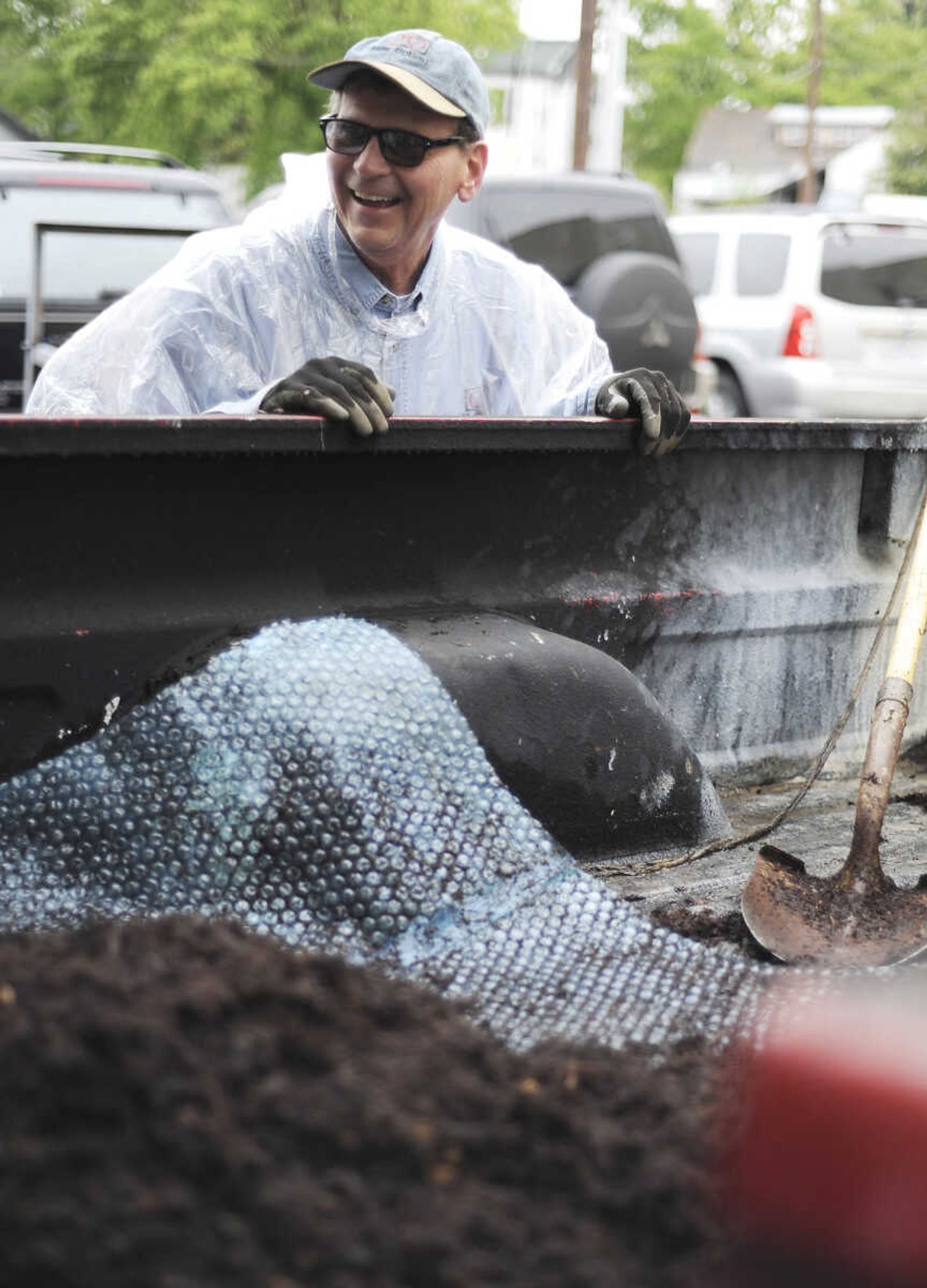 Bill Dunn looks over the amount of mulch left in the bed of his truck during the downtown cleanup April 27 in Cape Girardeau. (Adam Vogler)