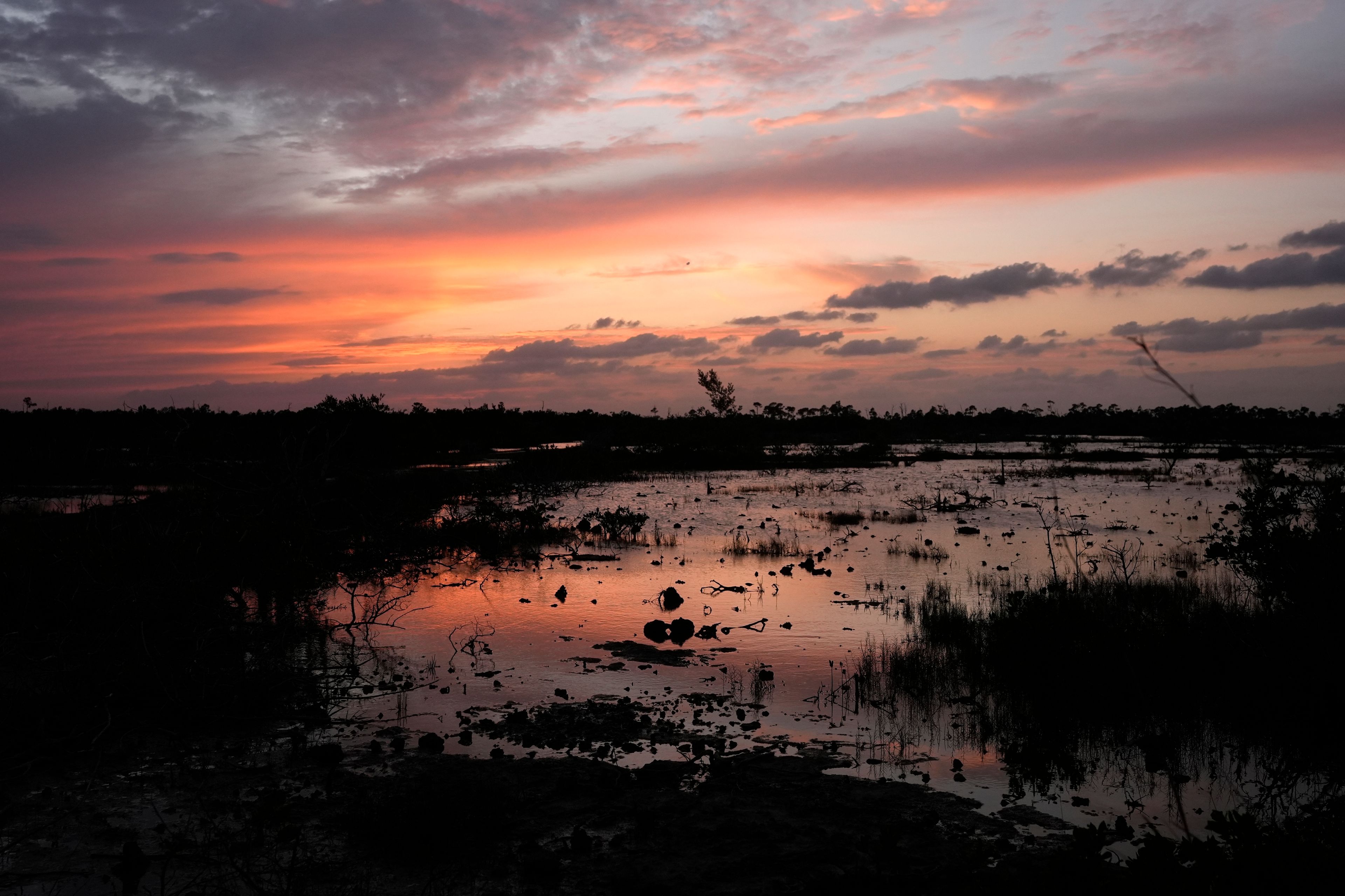 The sun sets in the habitat of the Key Deer, the smallest subspecies of the white-tailed deer that have thrived in the piney and marshy wetlands of the Florida Keys, Thursday, Oct. 17, 2024, in Big Pine Key, Fla. (AP Photo/Lynne Sladky)