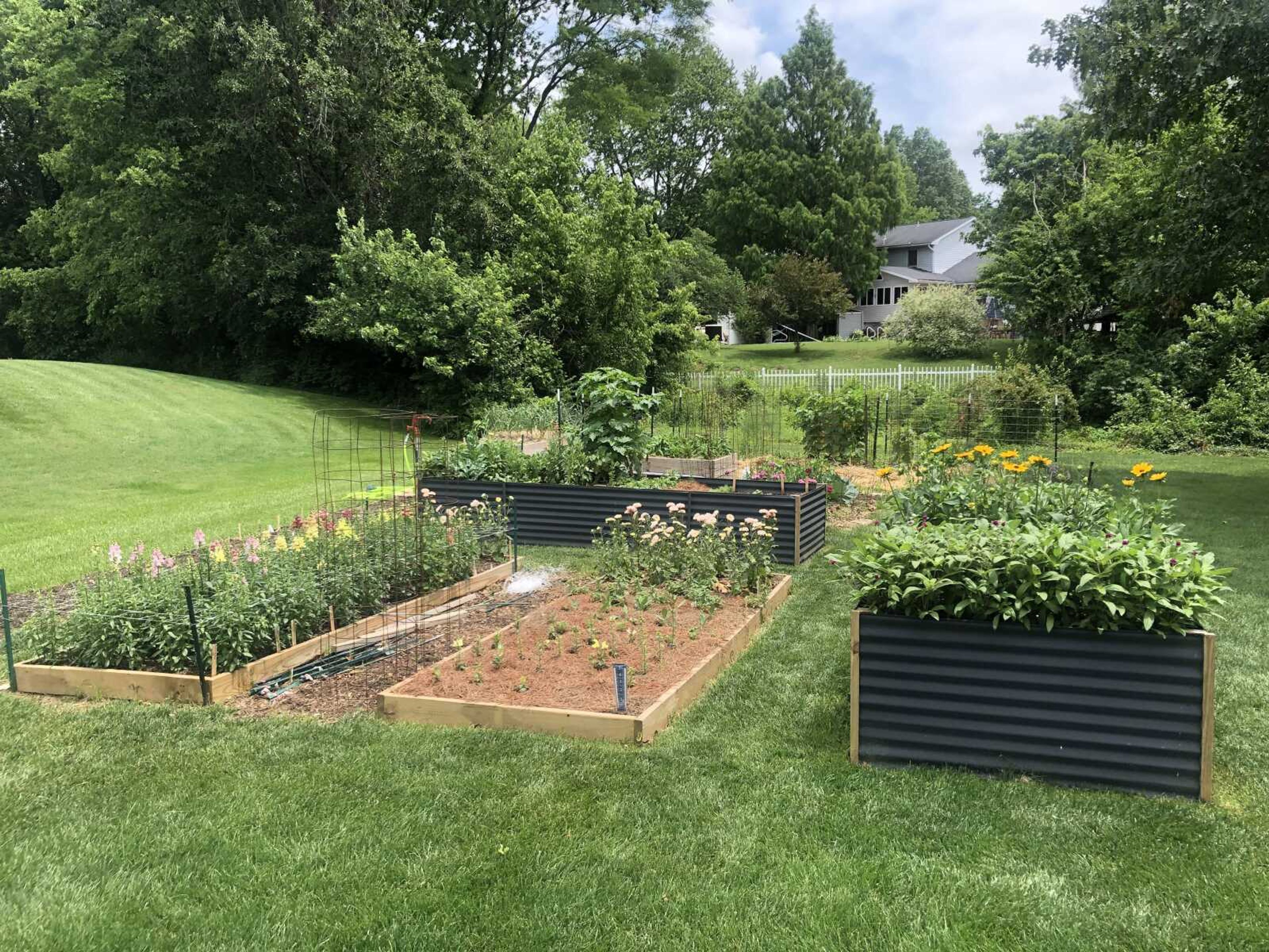 Rev. Ron Watts grows flowers in his backyard to use in Ferrari Flower arrangements. Watts creates his own compost for his flower beds. 