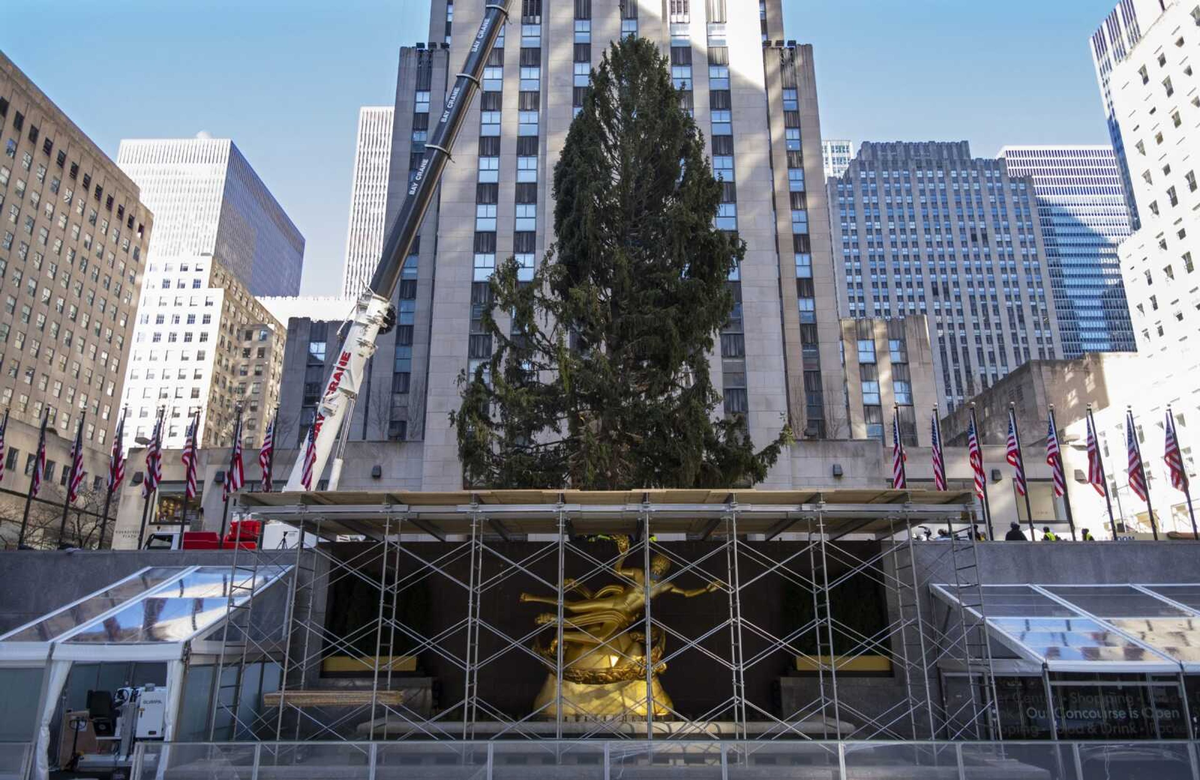 The 2020 Rockefeller Center Christmas tree, a 75-foot tall Norway spruce that was acquired in Oneonta, New York, is secured on a platform at Rockefeller Center on Saturday in New York.