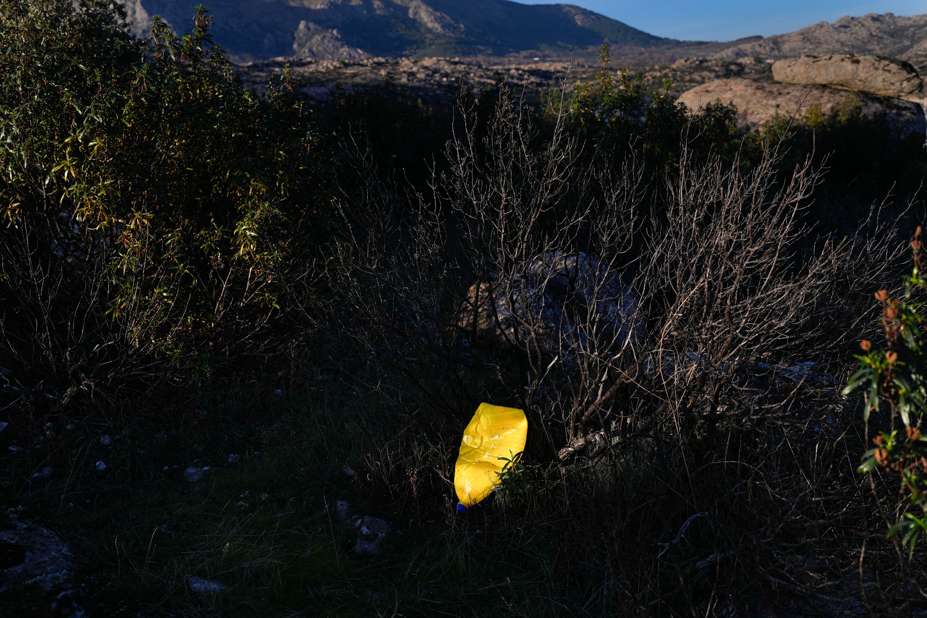 A plastic bottle is stuck in a bush in Valdemanco, outskirts of Madrid, on Wednesday, Nov. 27, 2024. (AP Photo/Bernat Armangue)