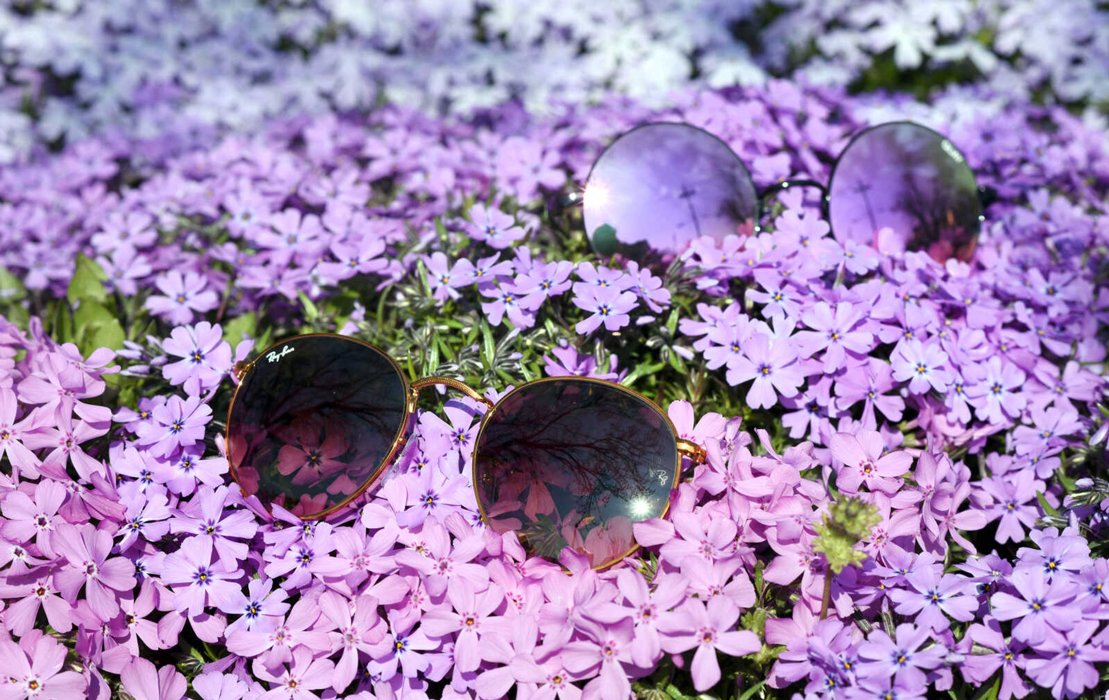 Bottom: Ray-Ban frames from Buckle
Top: Quay Australia round frames from Atelier