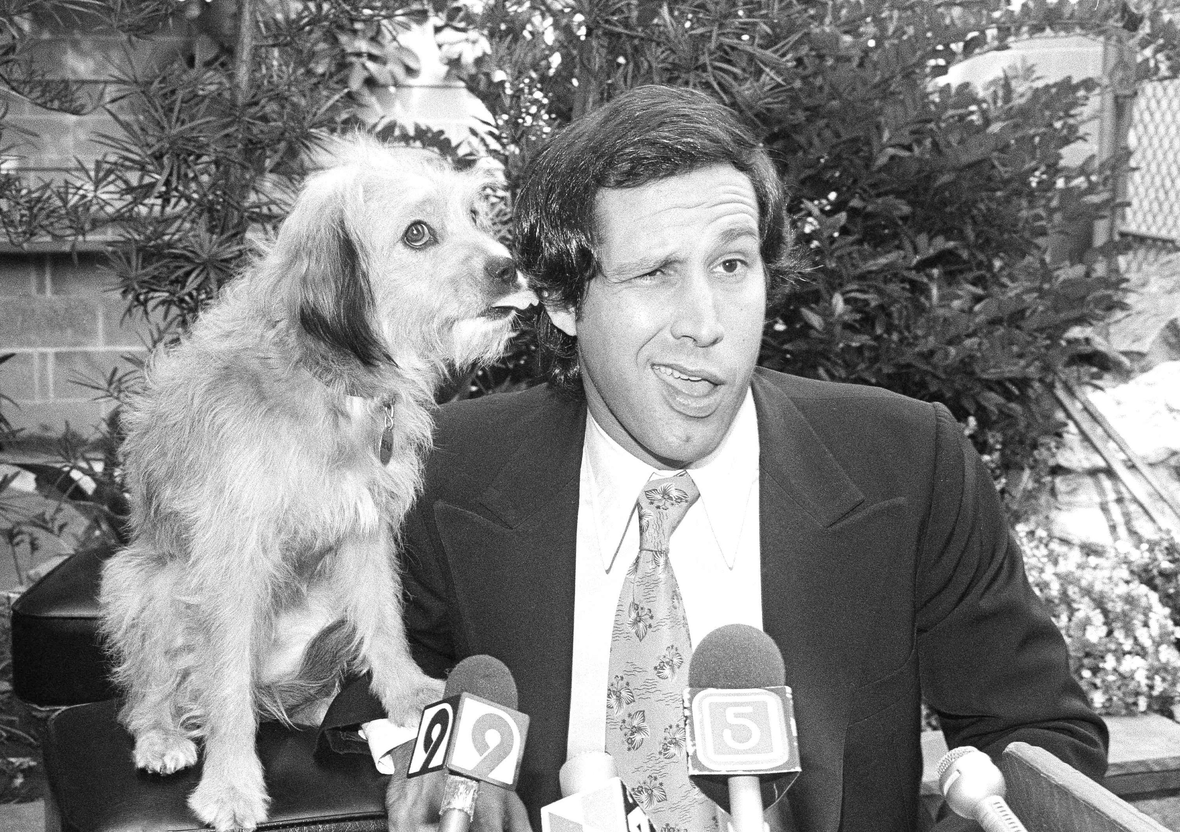 FILE - Chevy Chase gets his ear licked from co-star Benji the dog, during a news conference in Los Angeles announcing their movie "Oh Heavenly Dog" on Sept. 6, 1979. (AP Photo/Nick Ut, file)