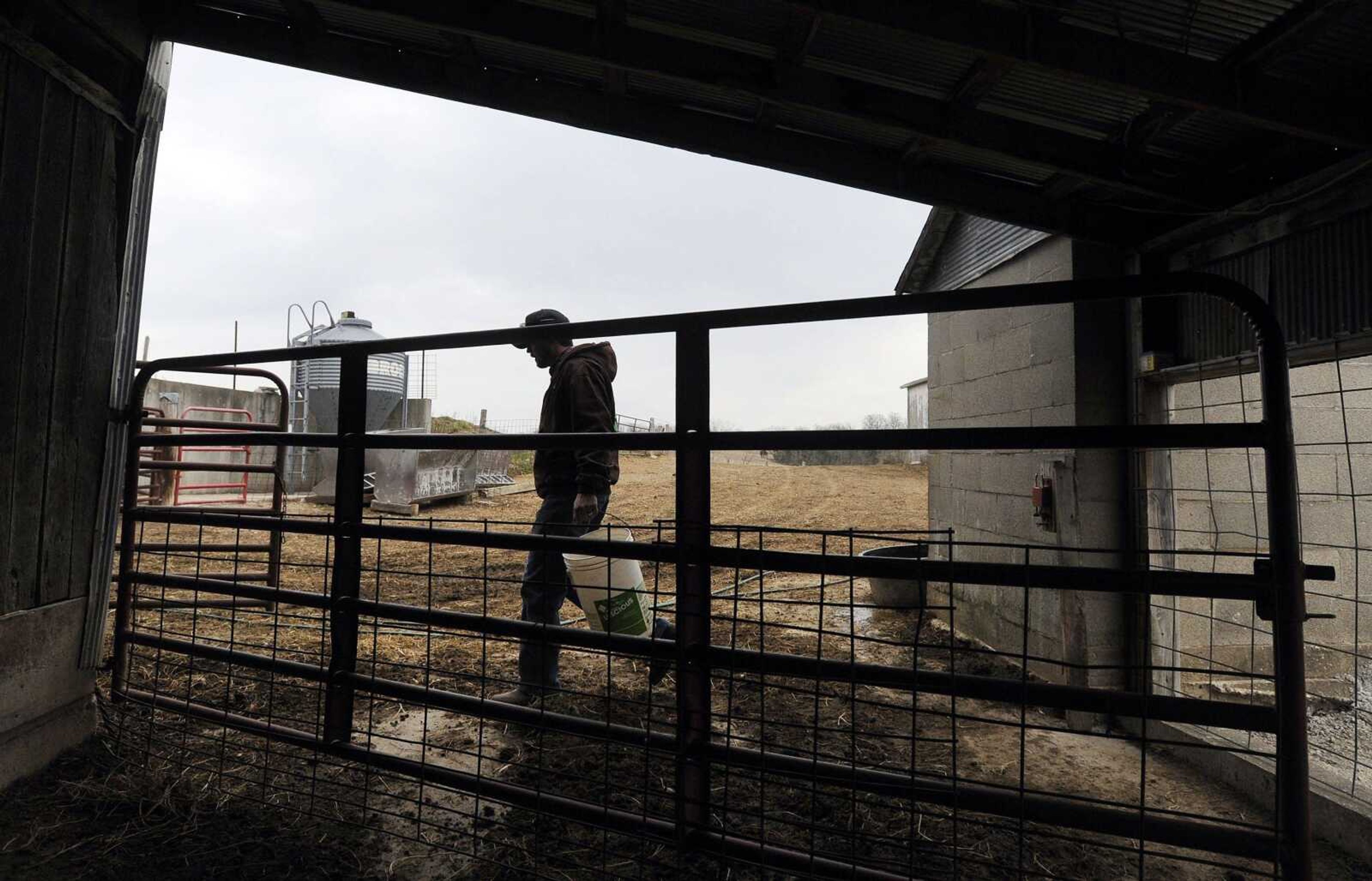 Mark Kasten puts out food for his sheep at Kasten Sheep Dairy in Perry County.