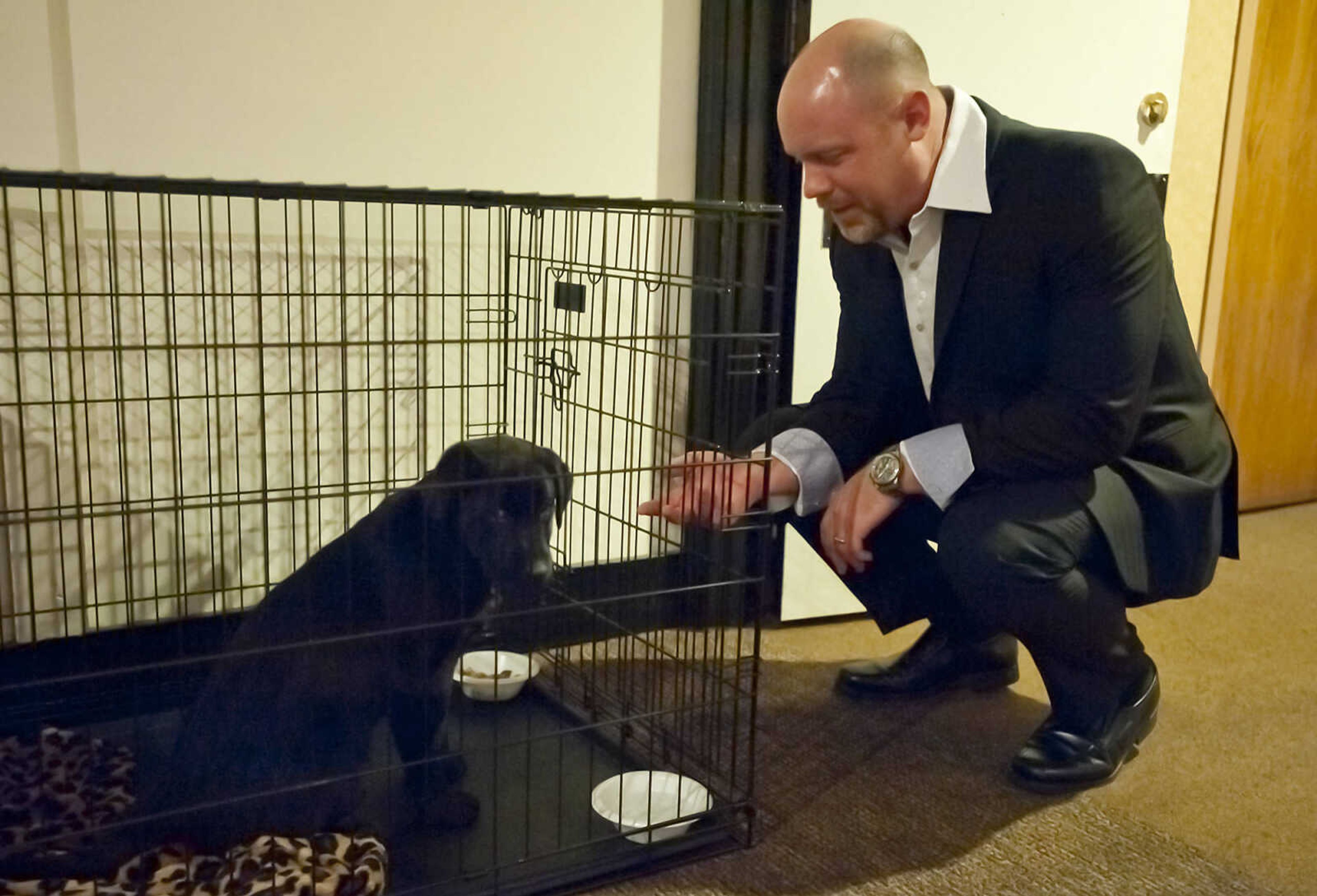 Bill Zellmer plays with Lily, a Labrador Shepard mix puppy around the Cape Girardeau Public School Foundation Penguin Party Saturday, Feb. 8, at Plaza by Ray's in Cape Girardeau. The event, which is the foundation's annual fundraiser, featured a sit down plated dinner, a live and silent auction followed by dancing. Lily was up for auction as a "friend for life."