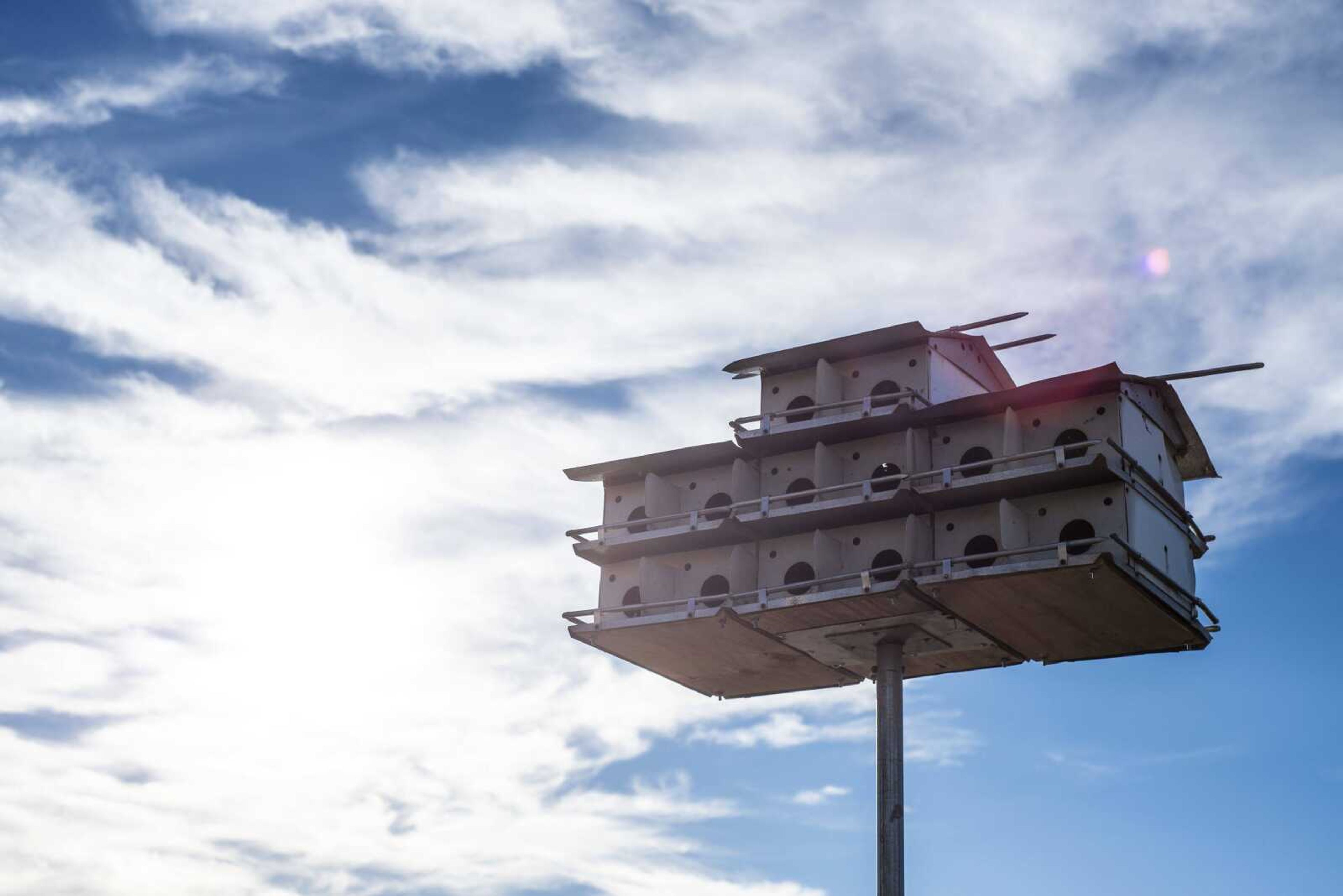 Purple martin housing is seen out front of Sunny Hill Gardens & Florist Wednesday in Cape Girardeau.