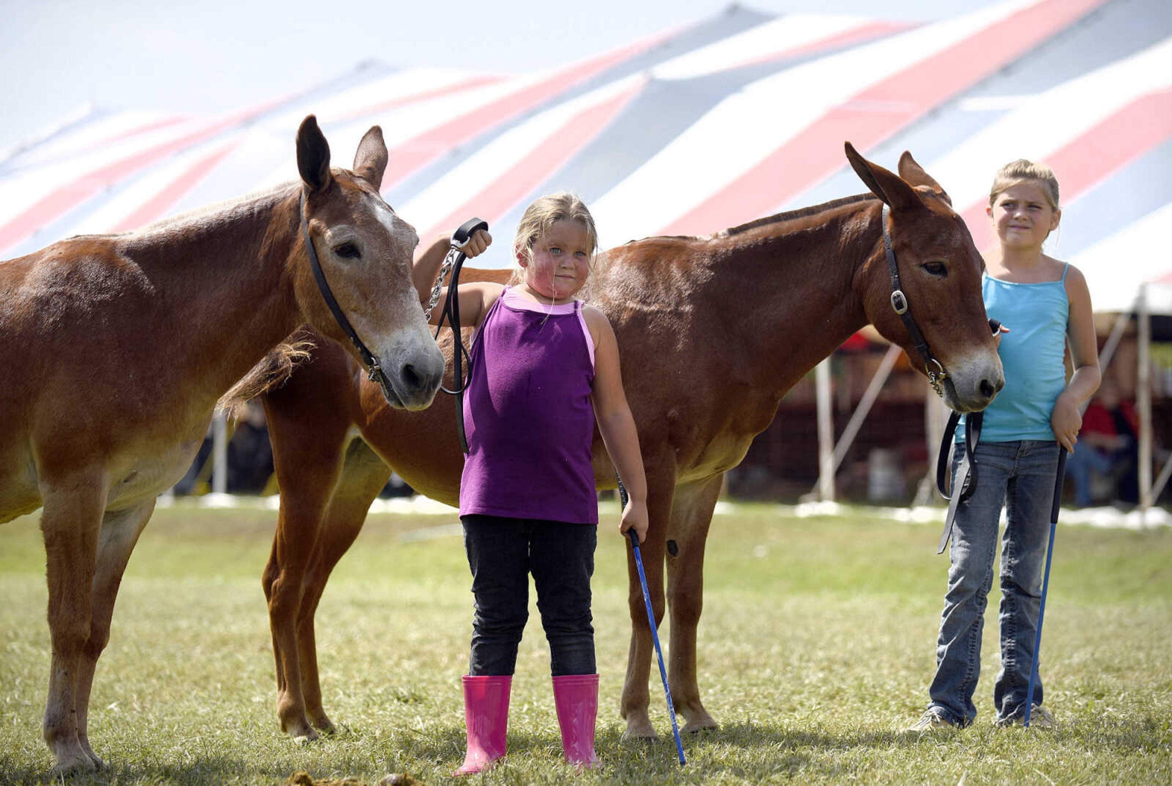 LAURA SIMON ~ lsimon@semissourian.com

Miley Statler, left, and her sister Emma, show mini mules during the SEMO District Fair on Friday, Sept. 16, 2016, at Arena Park in Cape Girardeau.