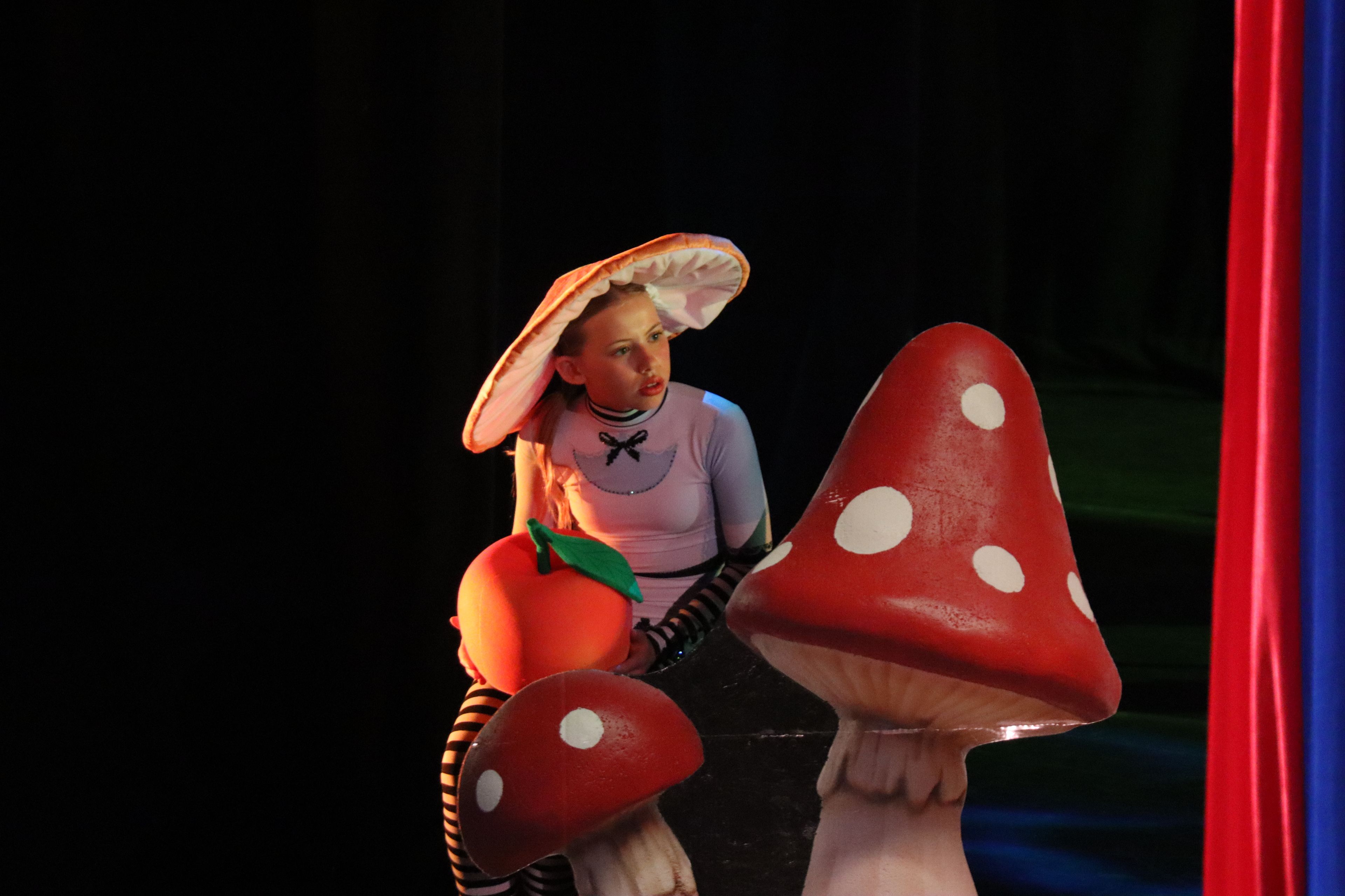 Photo gallery: Aerial 'Alice in Wonderland' presented by Cape Speciality Entertainment Group