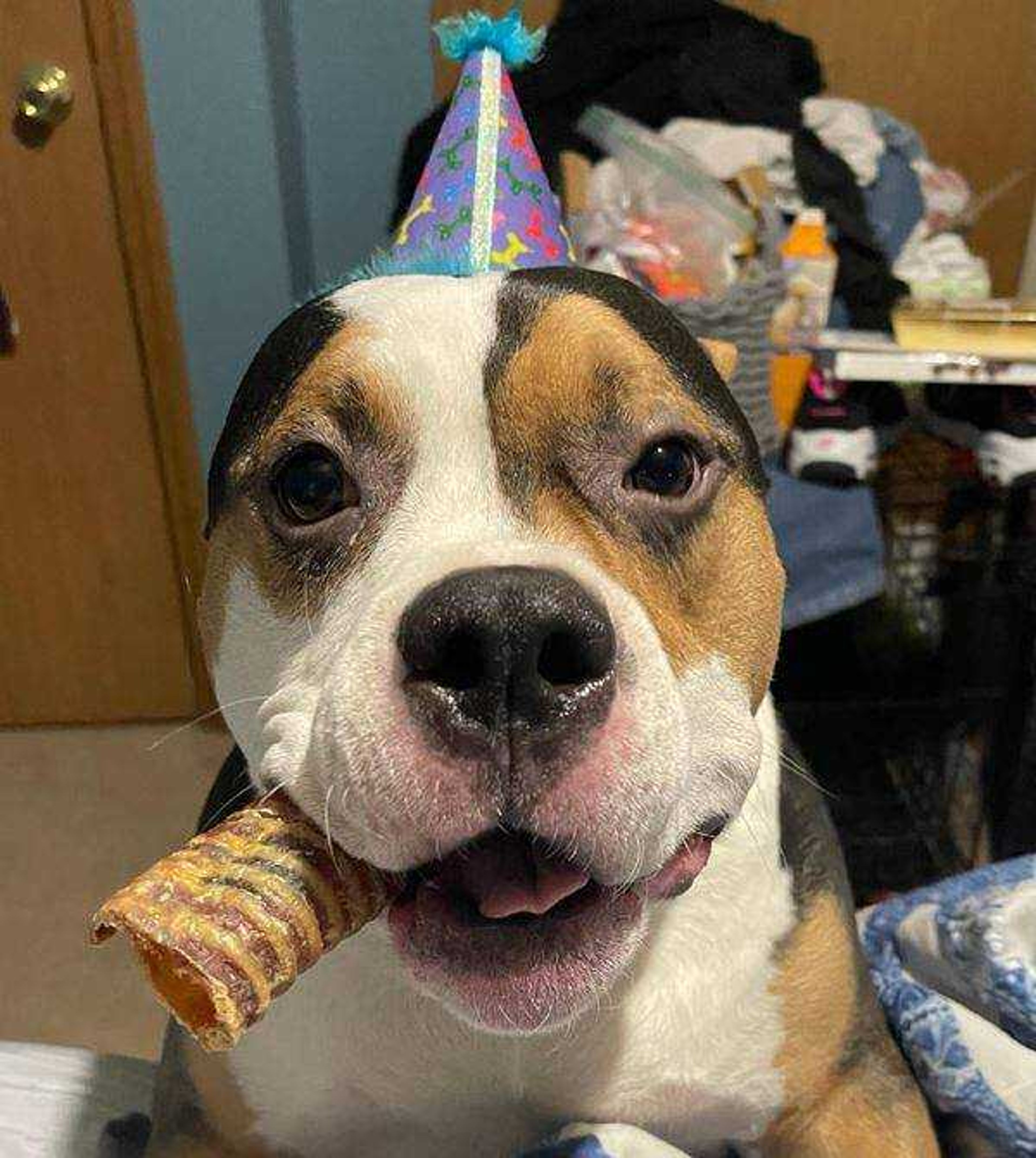 Mom's Birthday boy - I like big bones and i can not lie