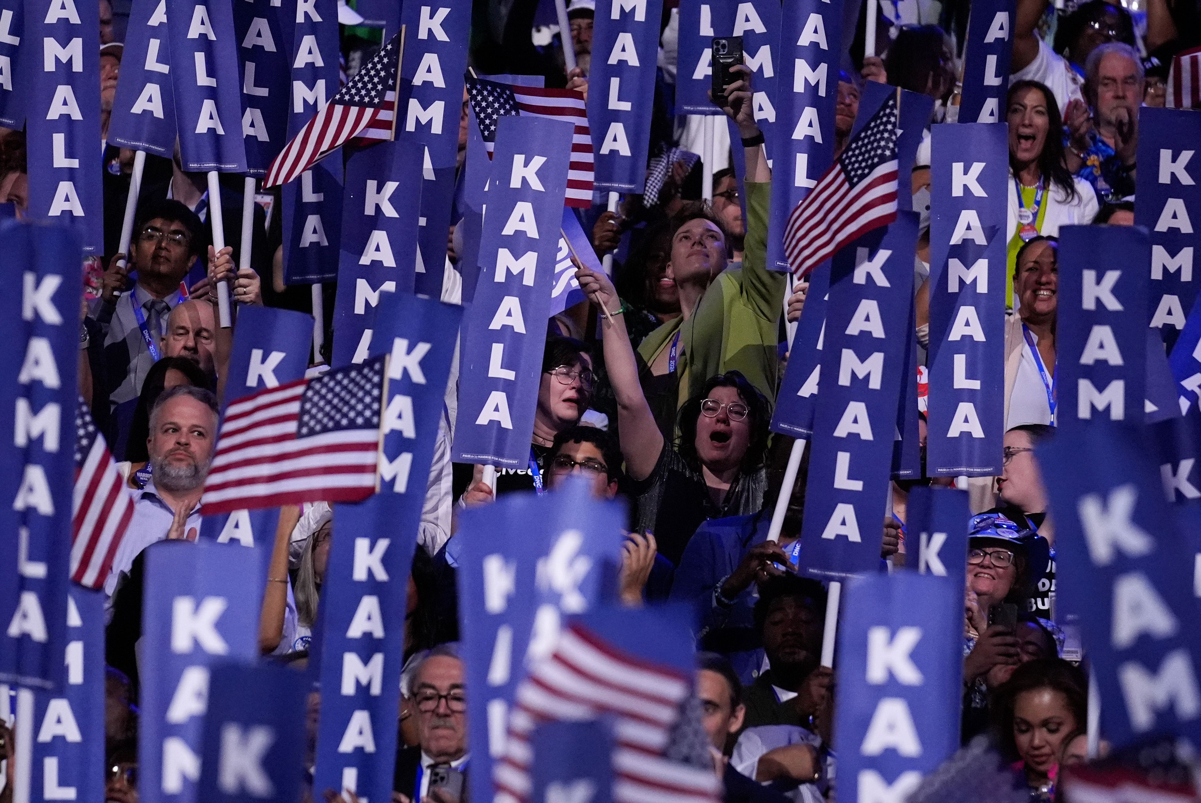 Delegates cheer as Democratic presidential nominee Vice President Kamala Harris speaks during the Democratic National Convention Thursday, Aug. 22, 2024, in Chicago. (AP Photo/Brynn Anderson)