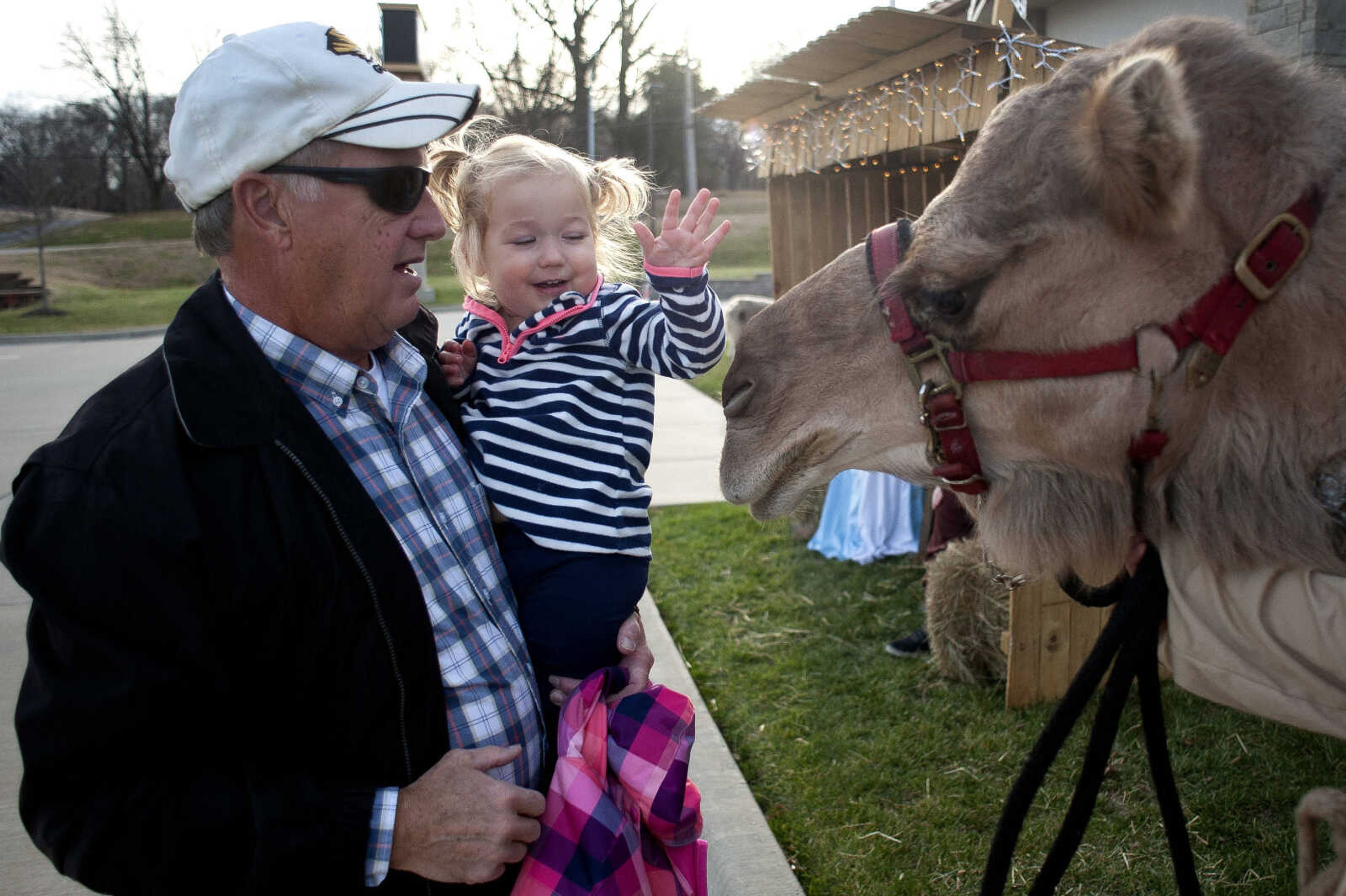 Emma Greaser, 1, of Cape Girardeau meets a camel named Lucille while being held by her grandfather Dan Wilson of Cape Girardeau during a living nativity Thursday, Dec. 12, 2019, at First Midwest Bank in Cape Girardeau.