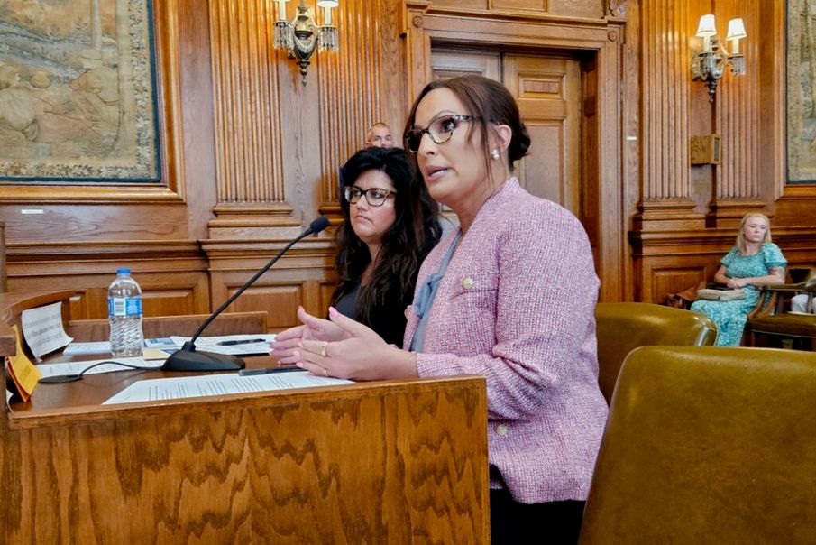Missouri governor names 18 to child welfare task force amid ...