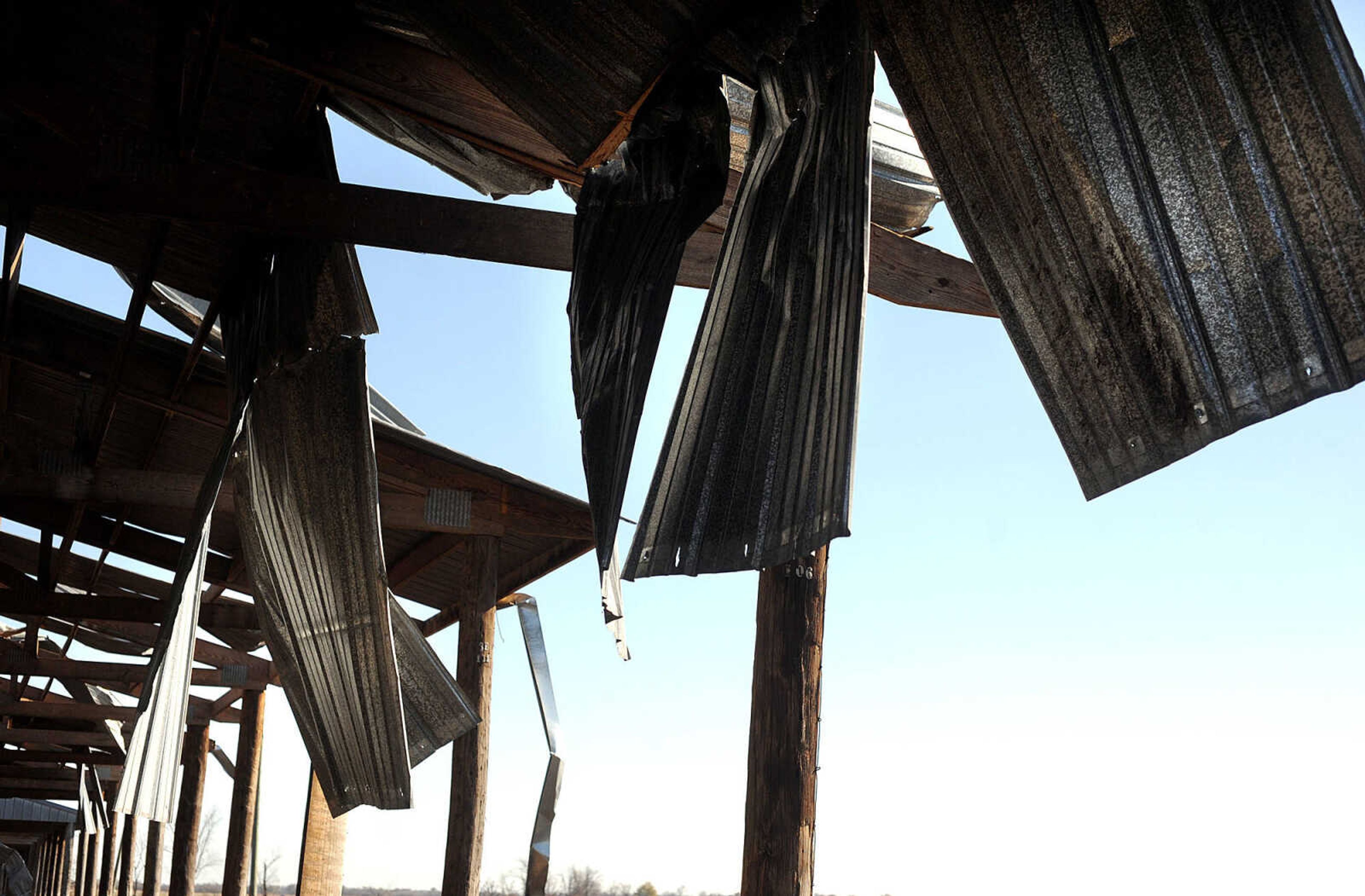 LAURA SIMON ~ lsimon@semissourian.com

Cleanup efforts from Sunday's storm are underway at Vince Draper's cattle farm, Monday, Nov. 18, 2013, southeast of Morley, Mo.