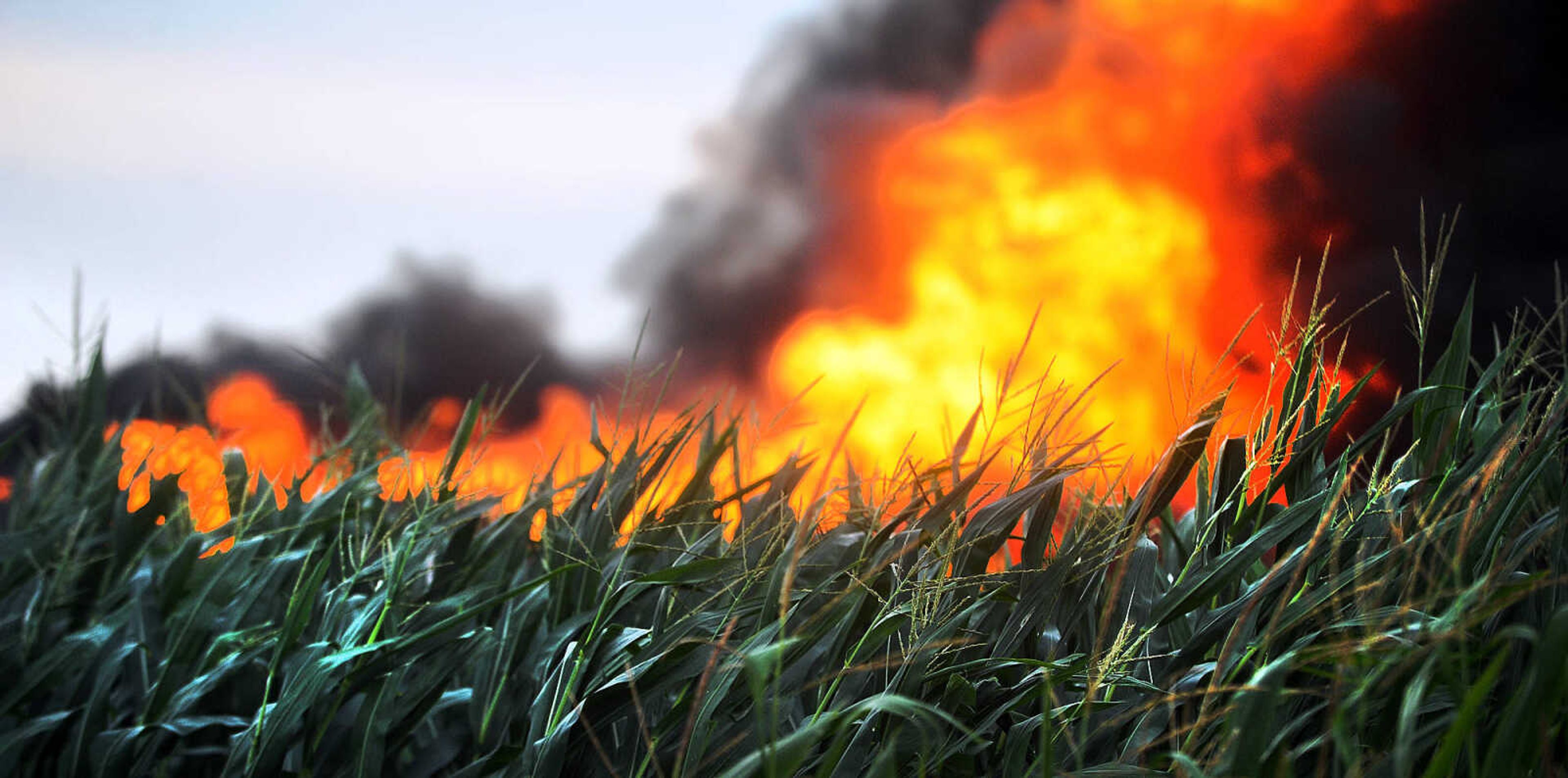 LAURA SIMON ~ lsimon@semissourian.com

Flames and smoke from a house fire fill the sky just behind a corn field off County Road 204 in Scott County Wednesday afternoon, July 23, 2014. Fire departments from Delta, Scott City, Chaffee and New Hamburg/Benton/Commerce were also on scene to battle the fire.