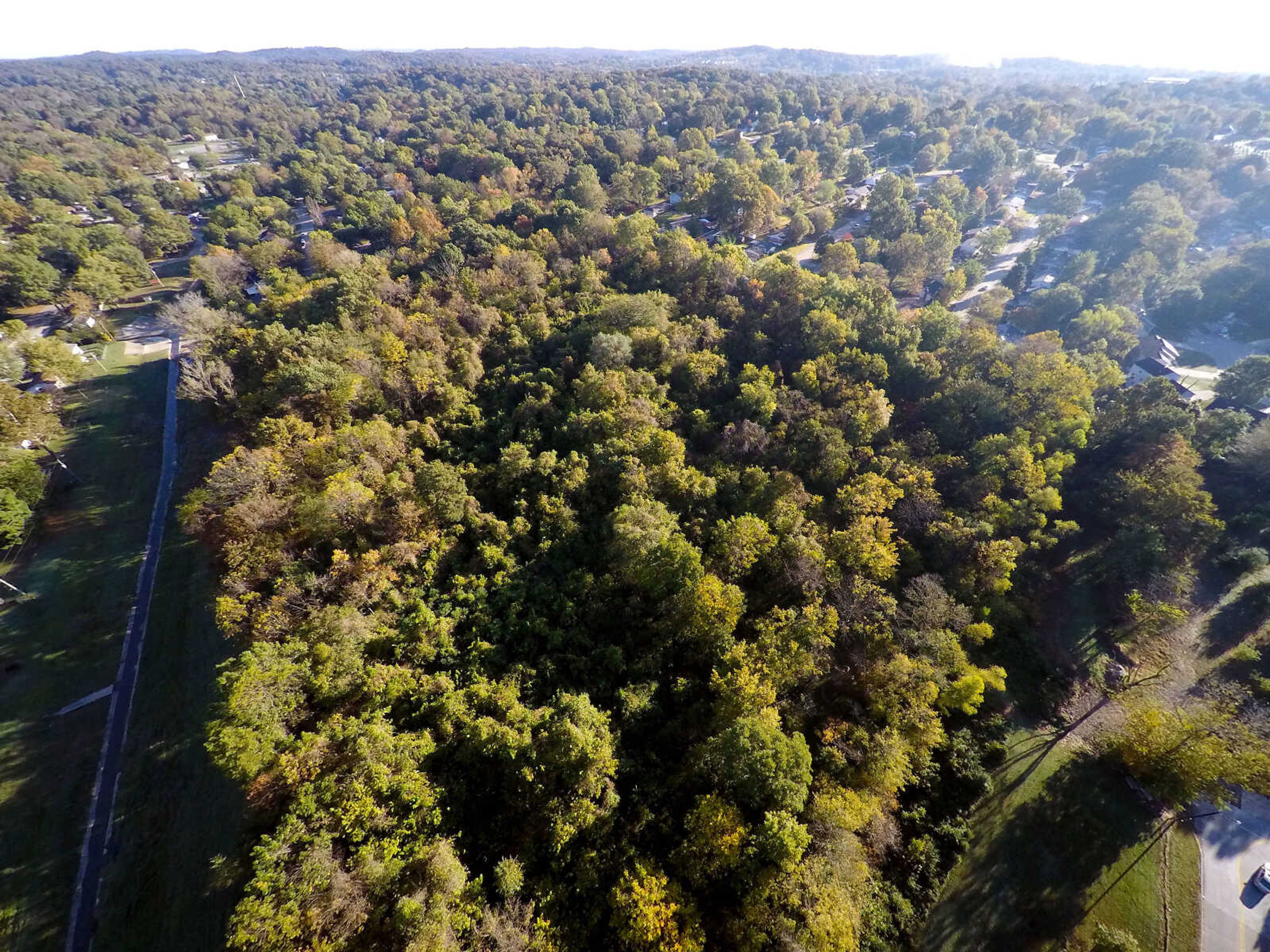 An aerial view of the local chapter of Habitat for Humanity's proposed site for a  residential subdivision for low-income residents in Cape Girardeau.